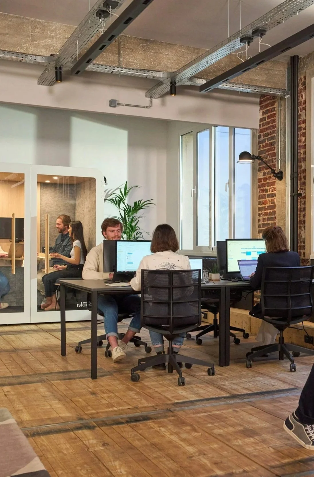 Office space with employees working at desks on computers, a glass enclosed meeting area with people inside, exposed brick wall, large window, industrial ceiling with suspended metal conduits, wooden flooring, and a potted plant.