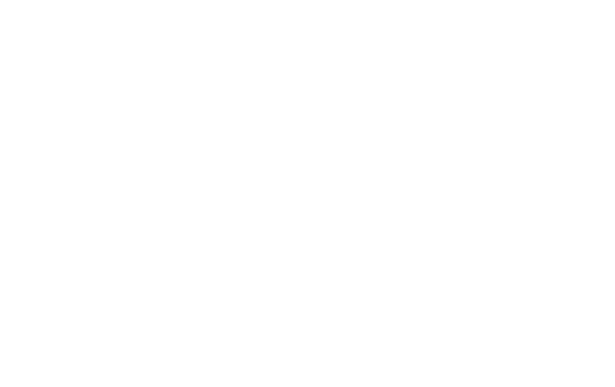 MLV Plastering Services 