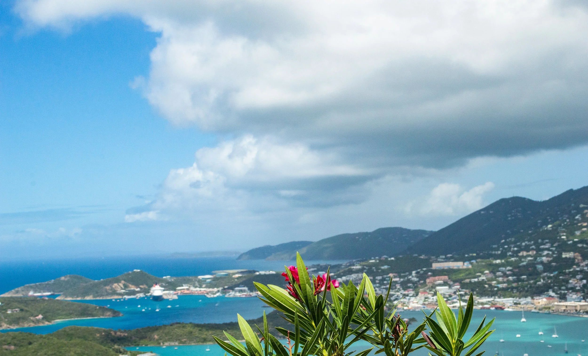 Tropical coastal landscape with green foliage, pink flowers in the foreground, a harbor with boats, and a hillside town with homes under cloudy skies.