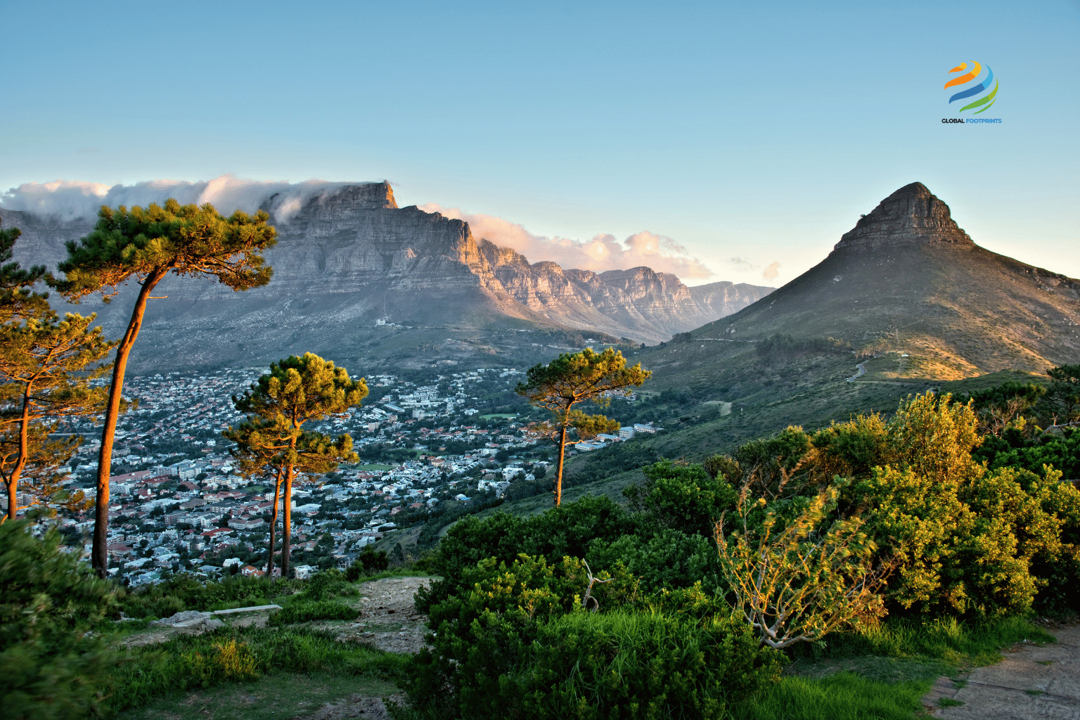 Cape Town Travel Guide: Top Attractions and Expat Tips