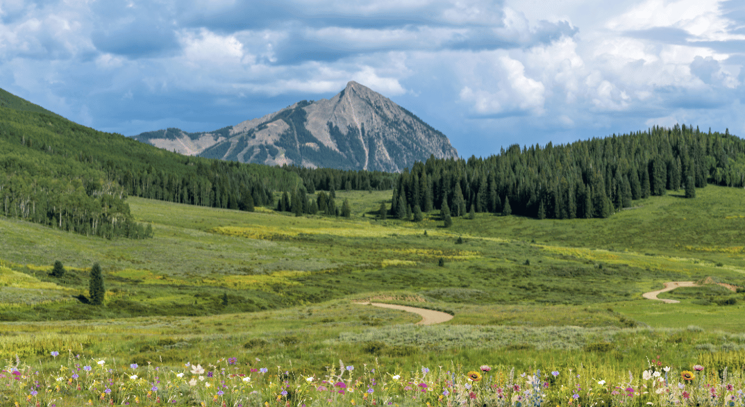 mount-crested-butte-with-wildflowers-and-hiking-trail.