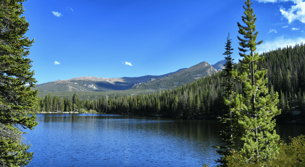 bear-lake-on-a-summer-day-estes-park-in-rocky-mountain-national-park