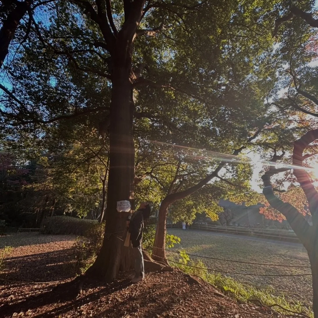 間違える自由がある

文字で読むだけじゃない
自分の心と身体でもがいた経験って、何にも替えられない。

間違えないように、うまくいくように
全部先回りしてお膳立てしてくれること
ありがたいけど、でも
間違える自由もあるってこと、忘れないようにしようね

わたしはたくさんのもがきと失敗でできてるよ
だからきっと、人に寄り添える
そこに誇りをもってるよ🌞

We have the freedom to make mistakes.

Not everything can be learned by