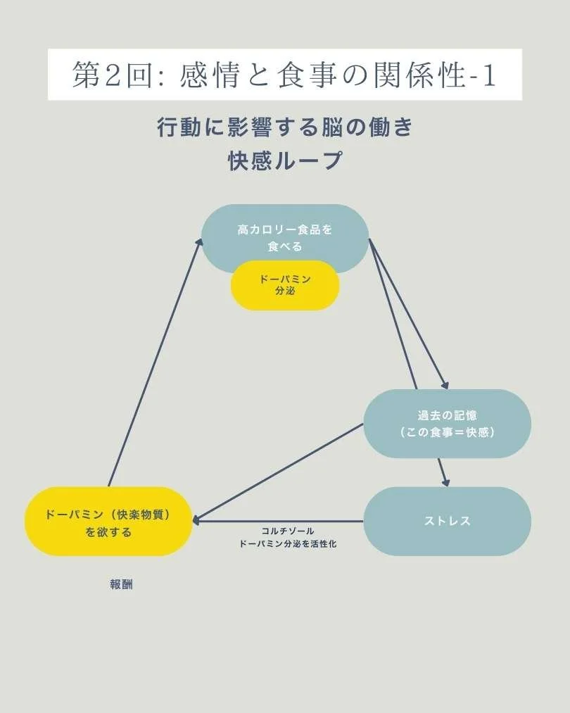 座学 感情と食事の関係 ホルモンの影響