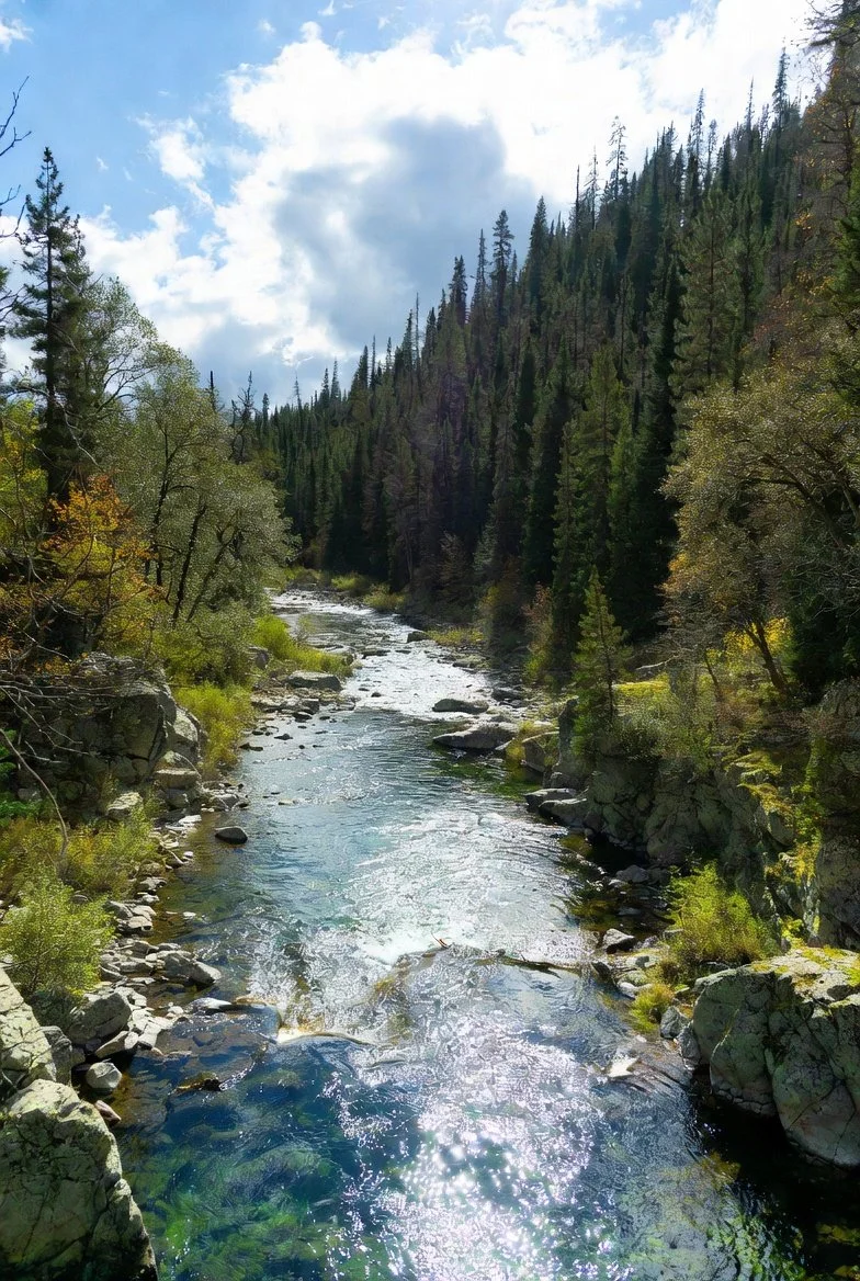 A peaceful mountain stream flowing through a forest with tall trees and rocks on either side, under a partly cloudy sky.
