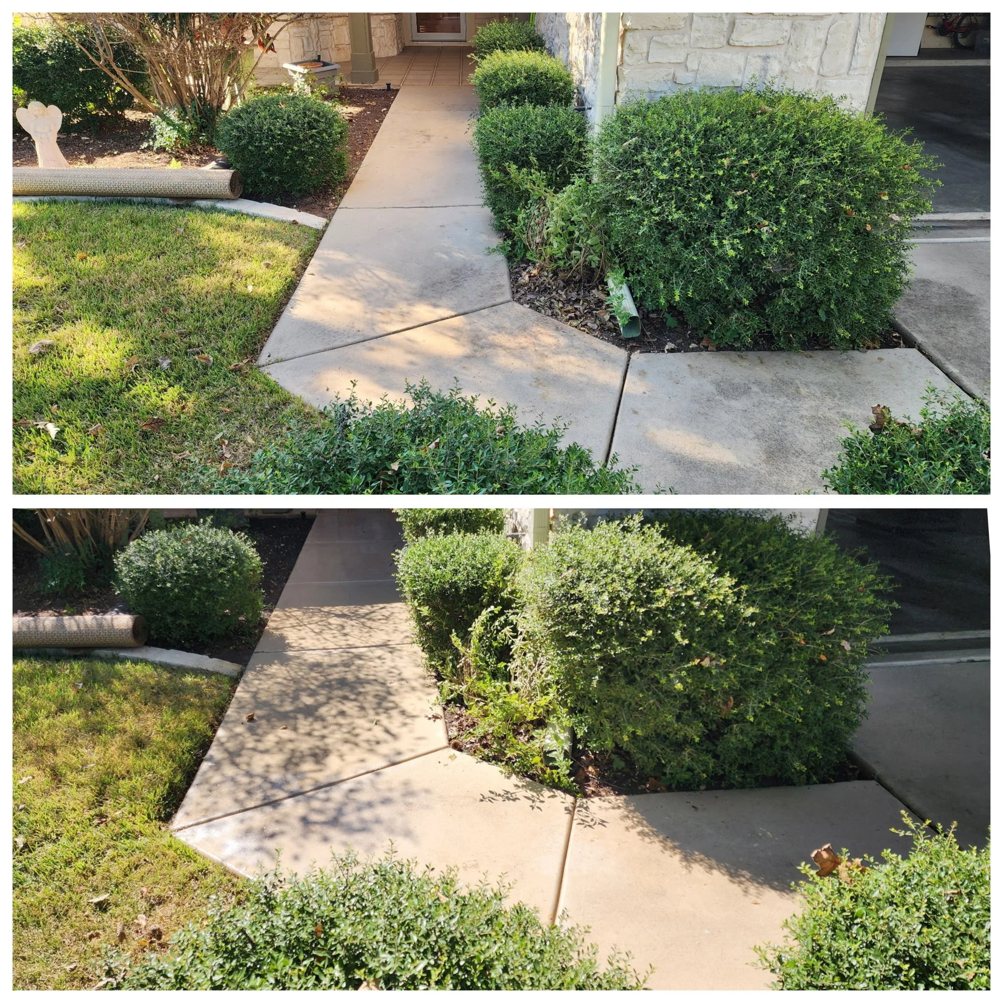 Comparison of a sidewalk with overgrown bushes before and trimmed bushes after pruning in front of a house.