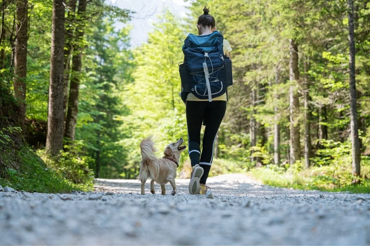 Woman walking her dog on a forest trail, representing outdoor activity and mental wellness.