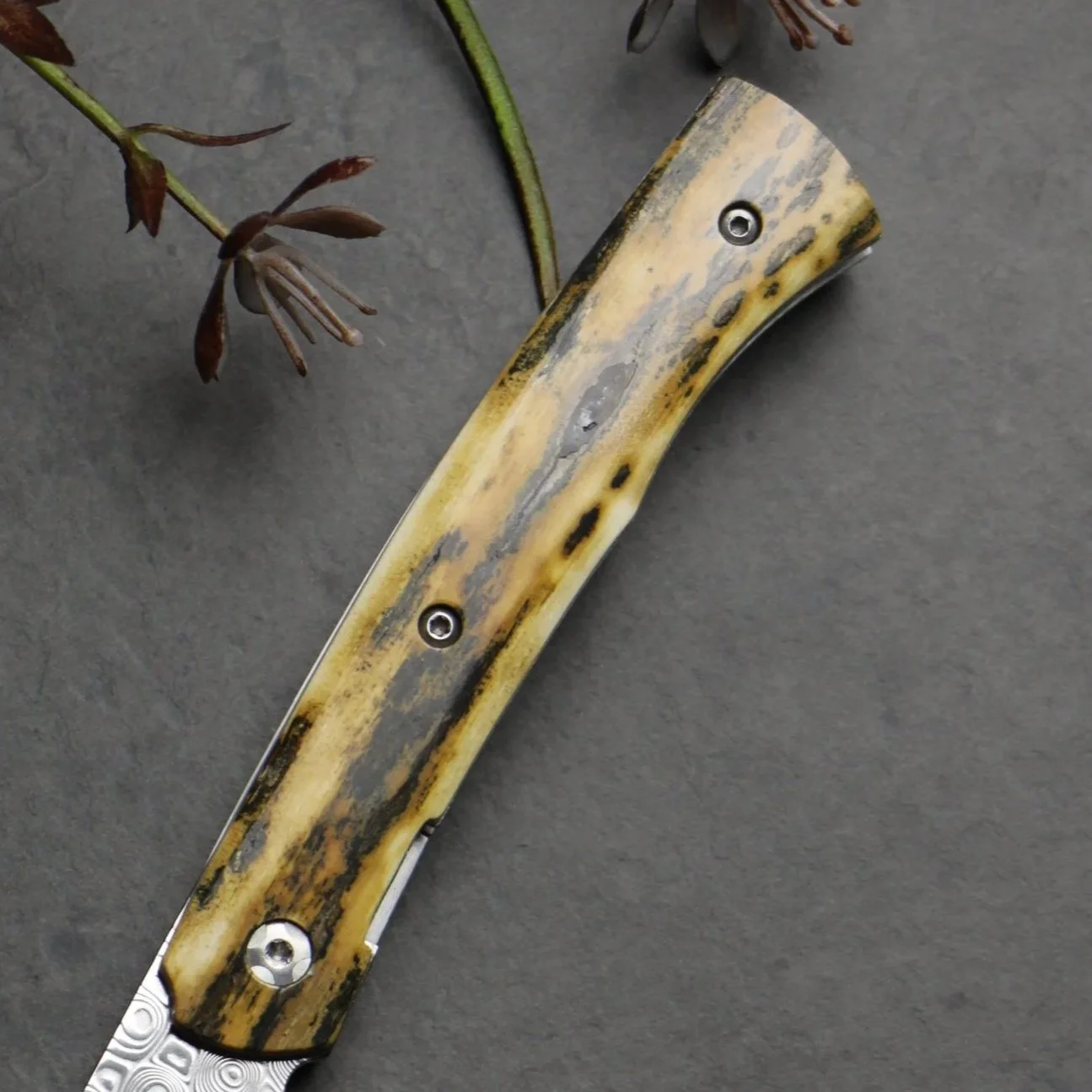 Manico di coltello realizzato a mano dalla coltelleria "La Cantina" in zanna di mammut fossile