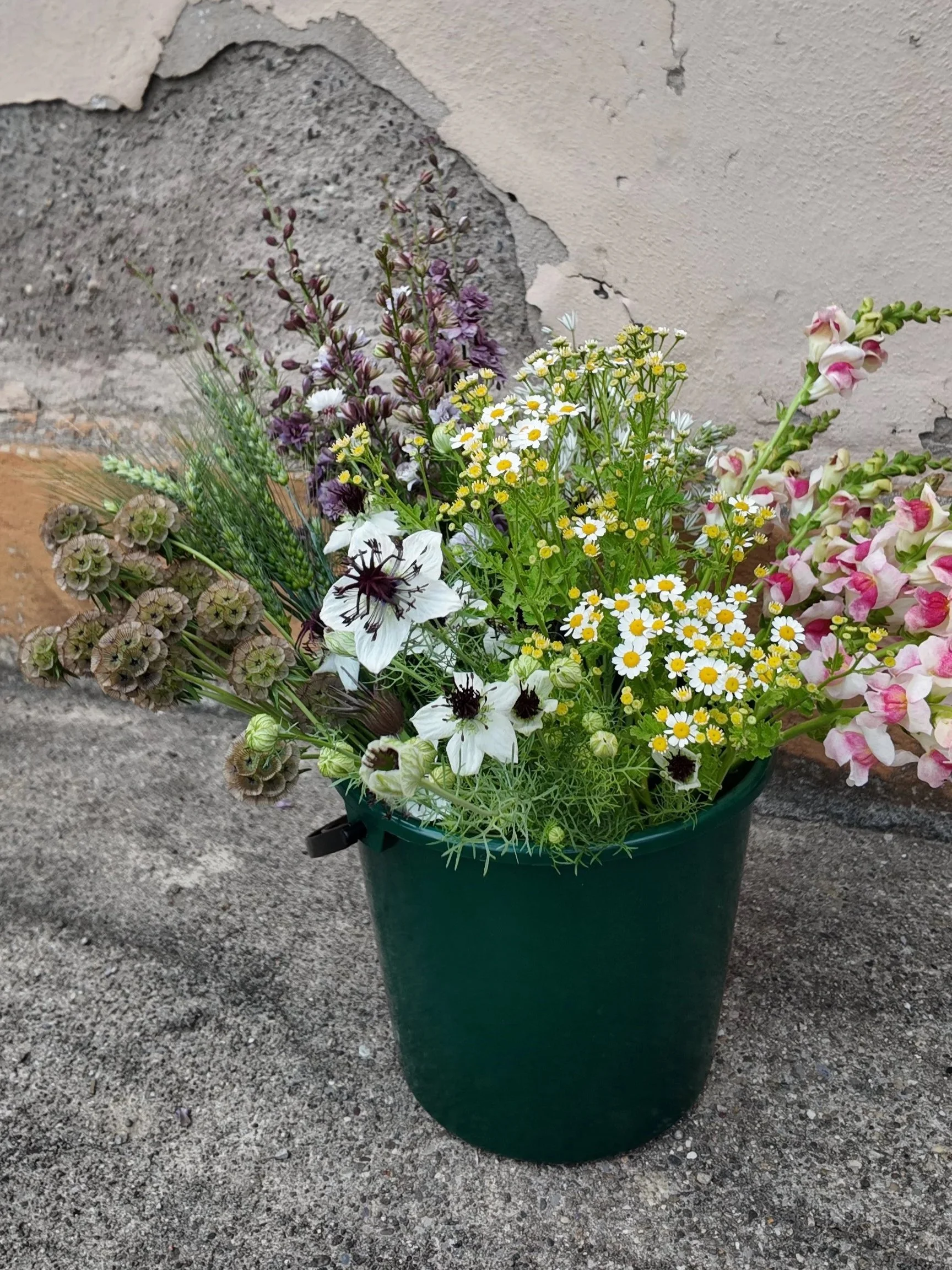 Celebration Flowers - Blumen für deine Feier