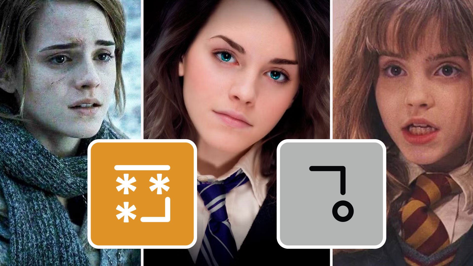 Hermione Granger (Harry Potter) Teacher/Trainer