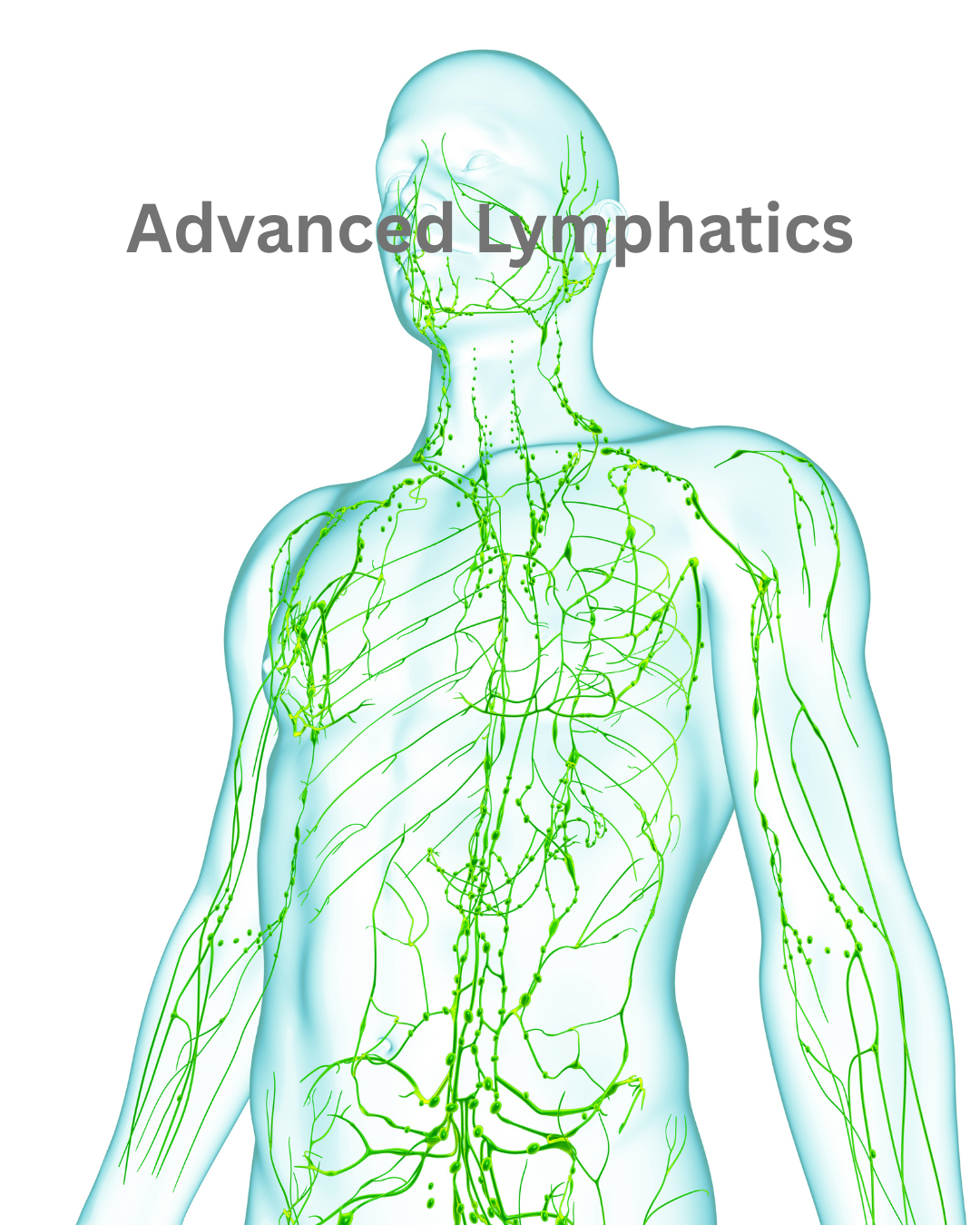 Advanced Lymphatic Drainage Accredited Course