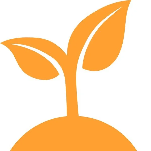 An orange icon of a young plant with two leaves sprouting from the ground.