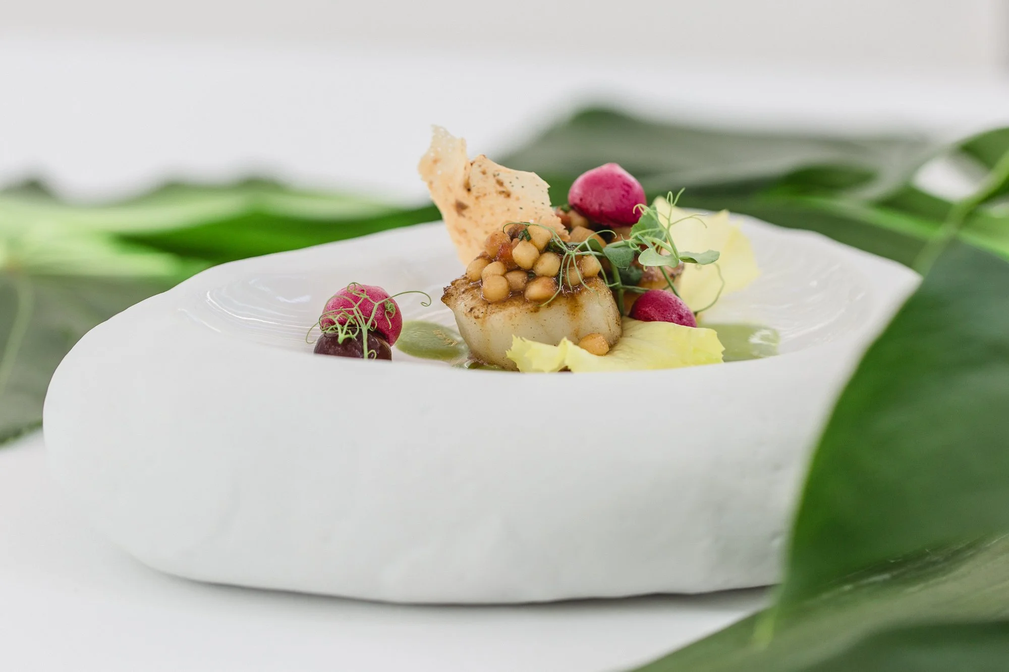 Feines Gericht auf weißem Teller mit Gemüse und kleinen roten Radieschen, dekoriert mit grünen Pflanzen, auf großem grünen Blatt.