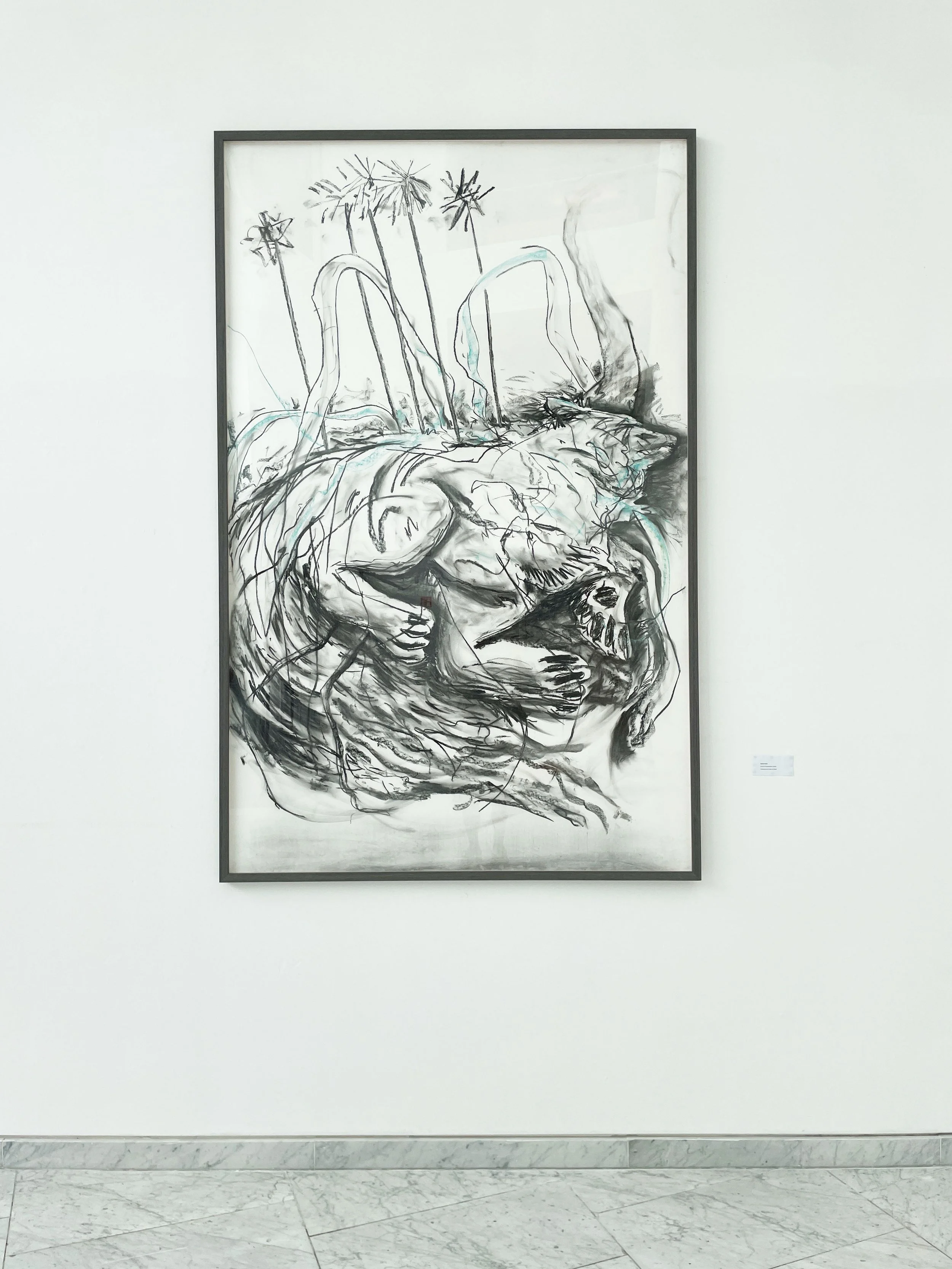 Installation view, Guide II Shapeshifter, 2025. Cork City Council's Atrium, Anglesea St. Cork City Council Art Collection