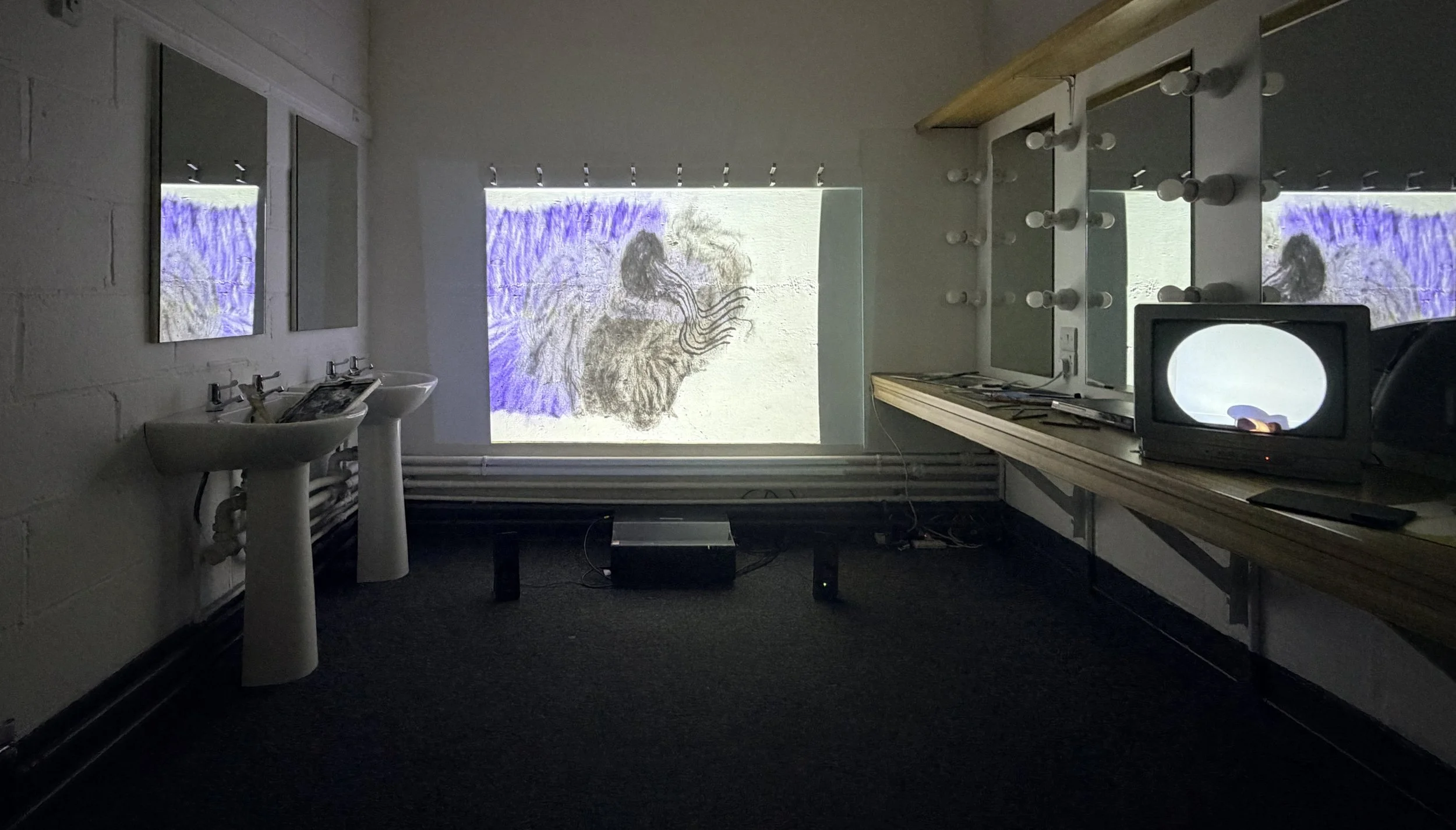 Installation view, Memory Lane, UCC Retrospect Arts Festival. Cork Opera House, 2026.