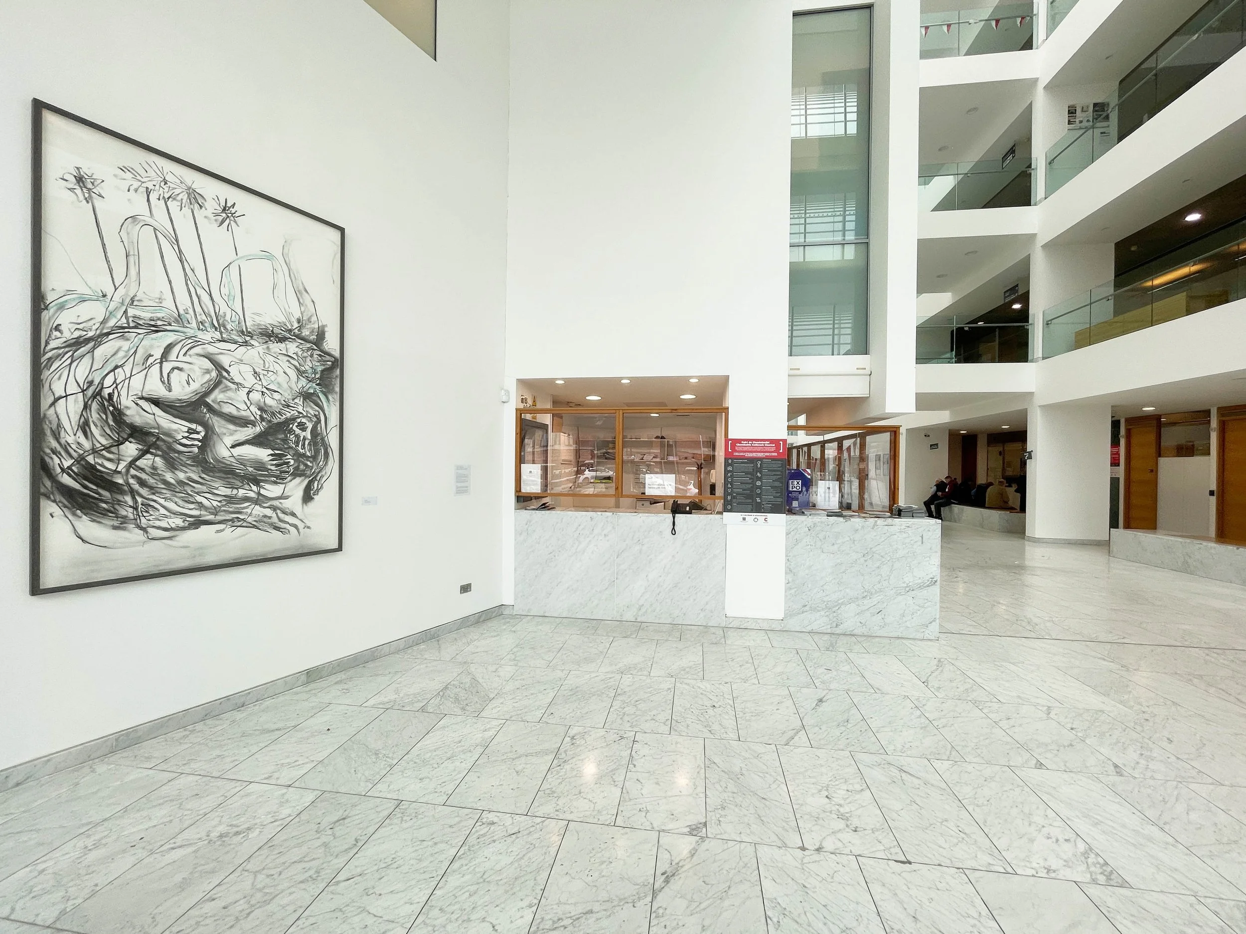 Installation view, Guide II Shapeshifter, 2025. Cork City Council's Atrium, Anglesea St. Cork City Council Art Collection
