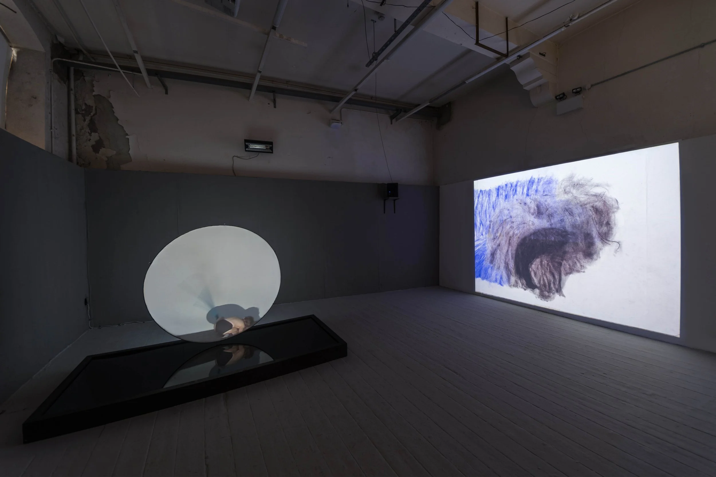 Installation view of A Tail of Two Section II, 2025. Photo: Seán Daly (c)