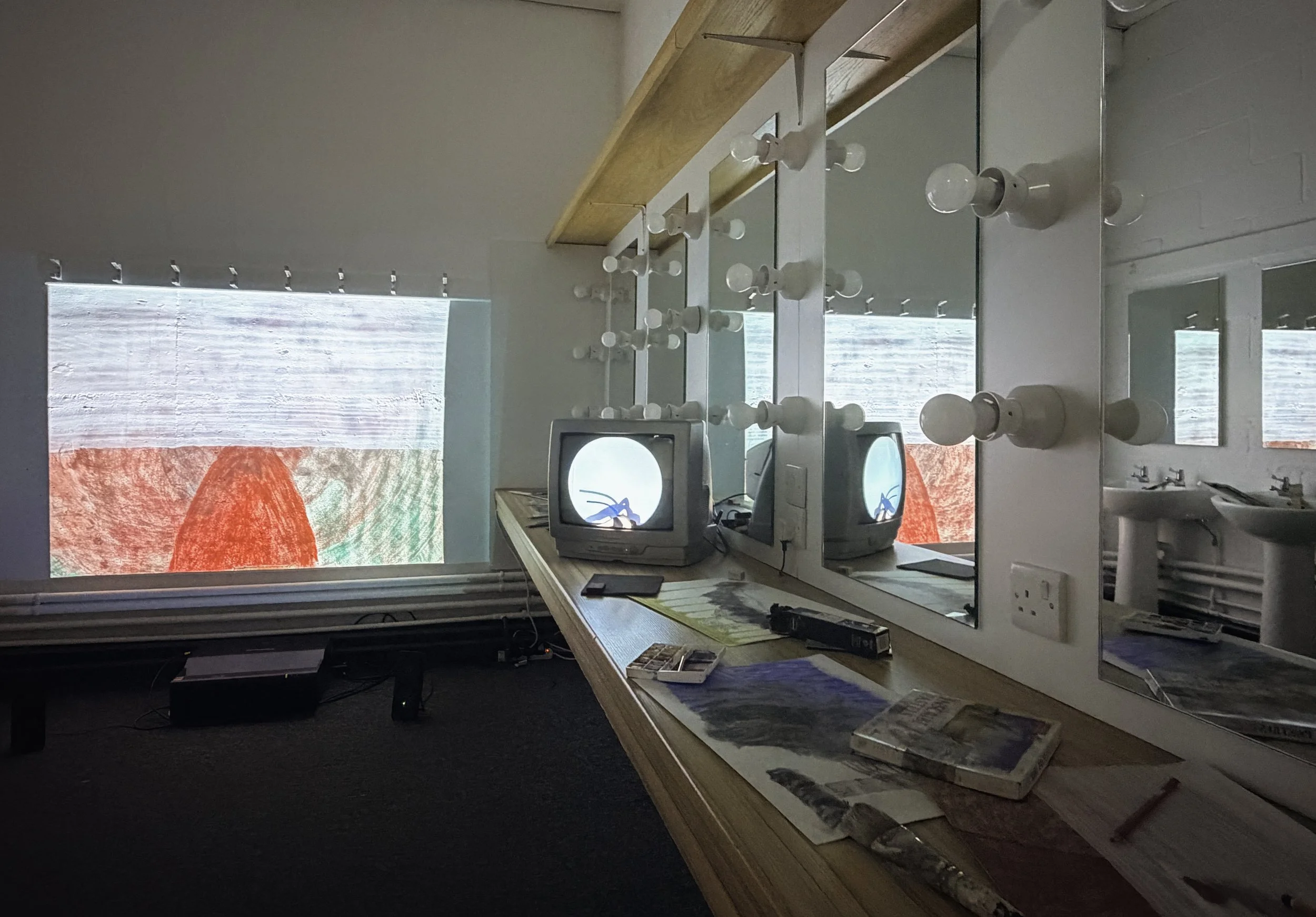 Installation view, Memory Lane, UCC Retrospect Arts Festival. Cork Opera House, 2026.