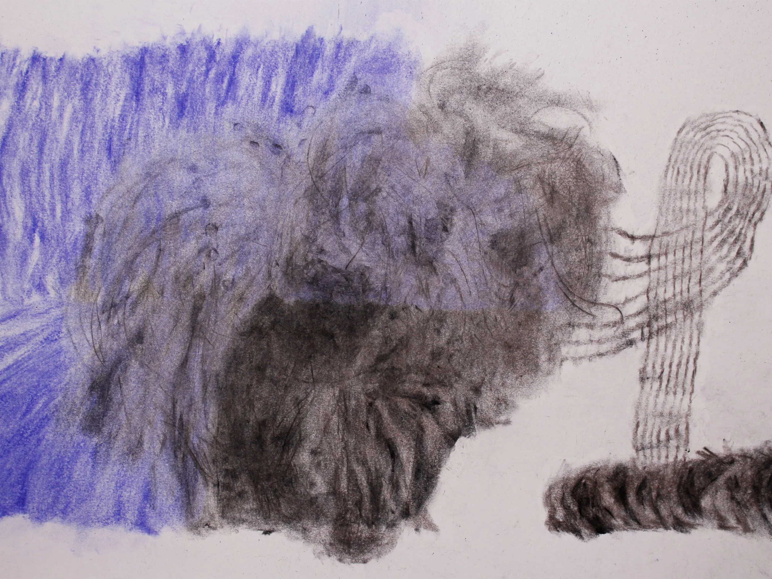 A Tail of Two (Scene I), 2025. Charcoal and conté on paper - 29.7 x 42.0 cm