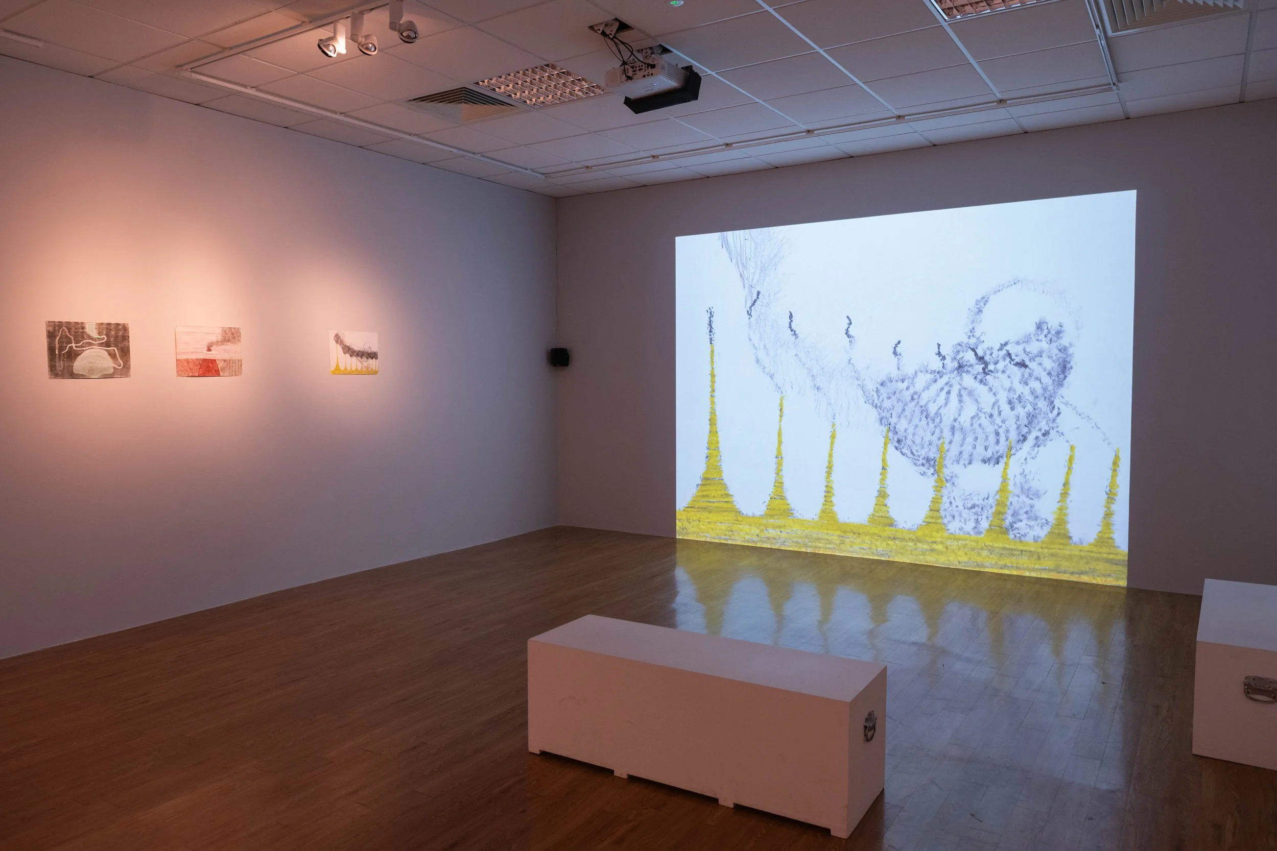 Installation view of animation A Tail of Two and three drawings (A Tail of Two scene II, III, and V). MTU STEAM Exhibition, EARTH, 2025. James Barry Exhibition Centre. Photo: Joleen Cronin (c)