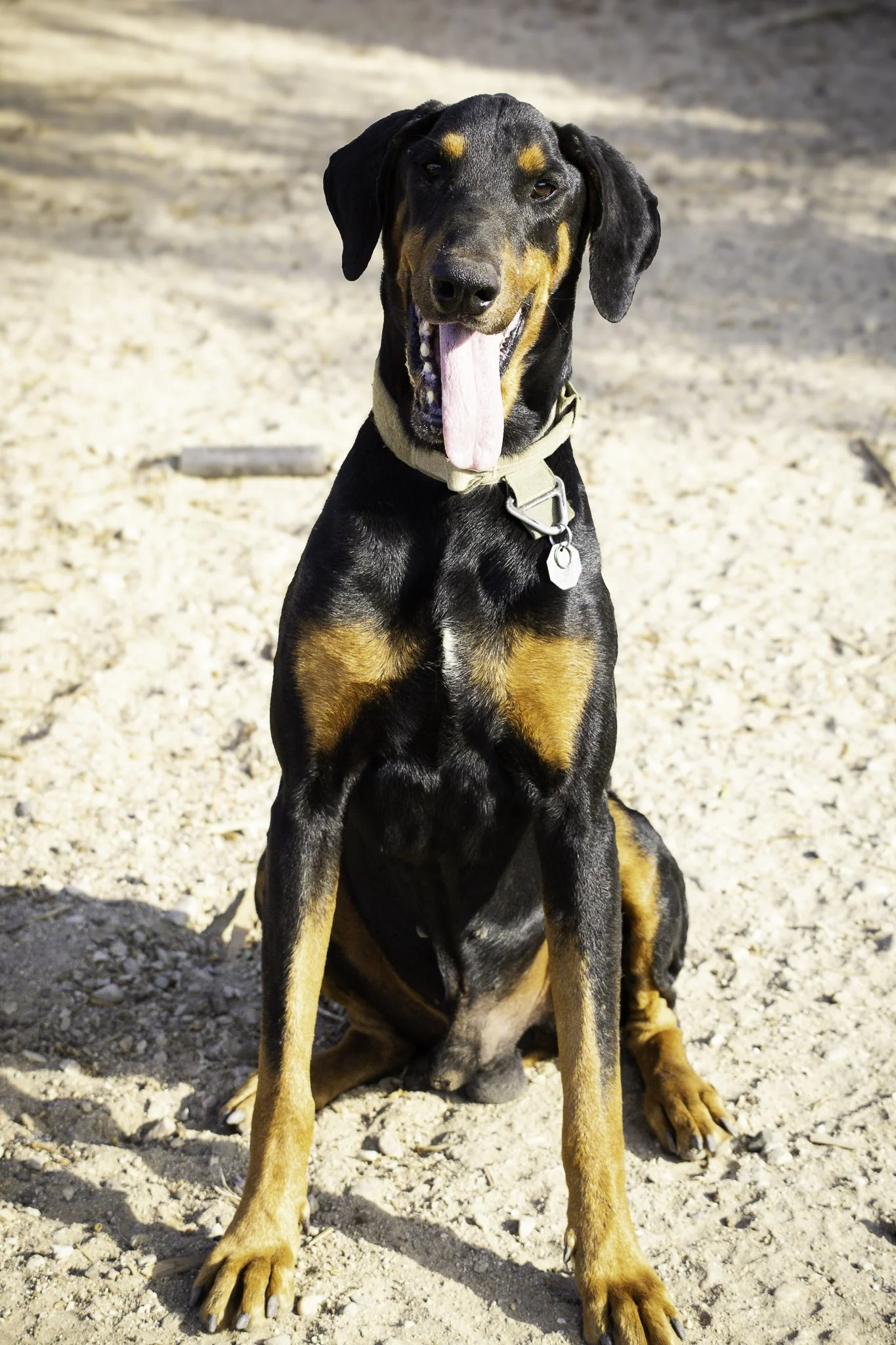 wyatt-4.jpg