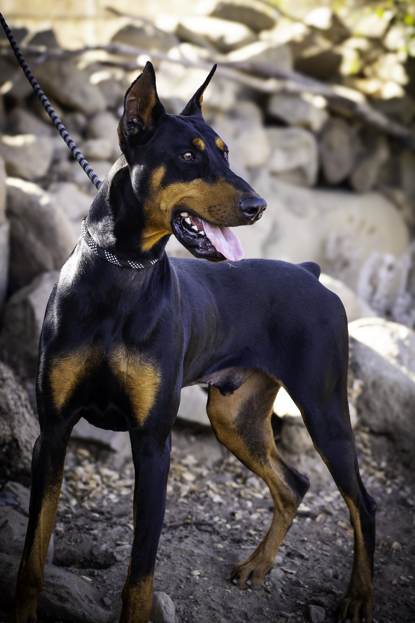 brucey-12.jpg