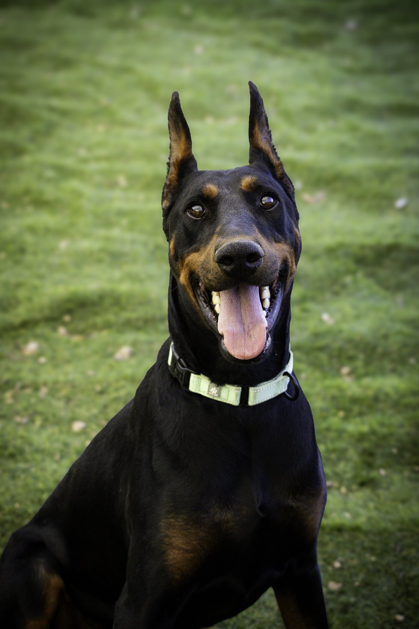 jax-6.jpg