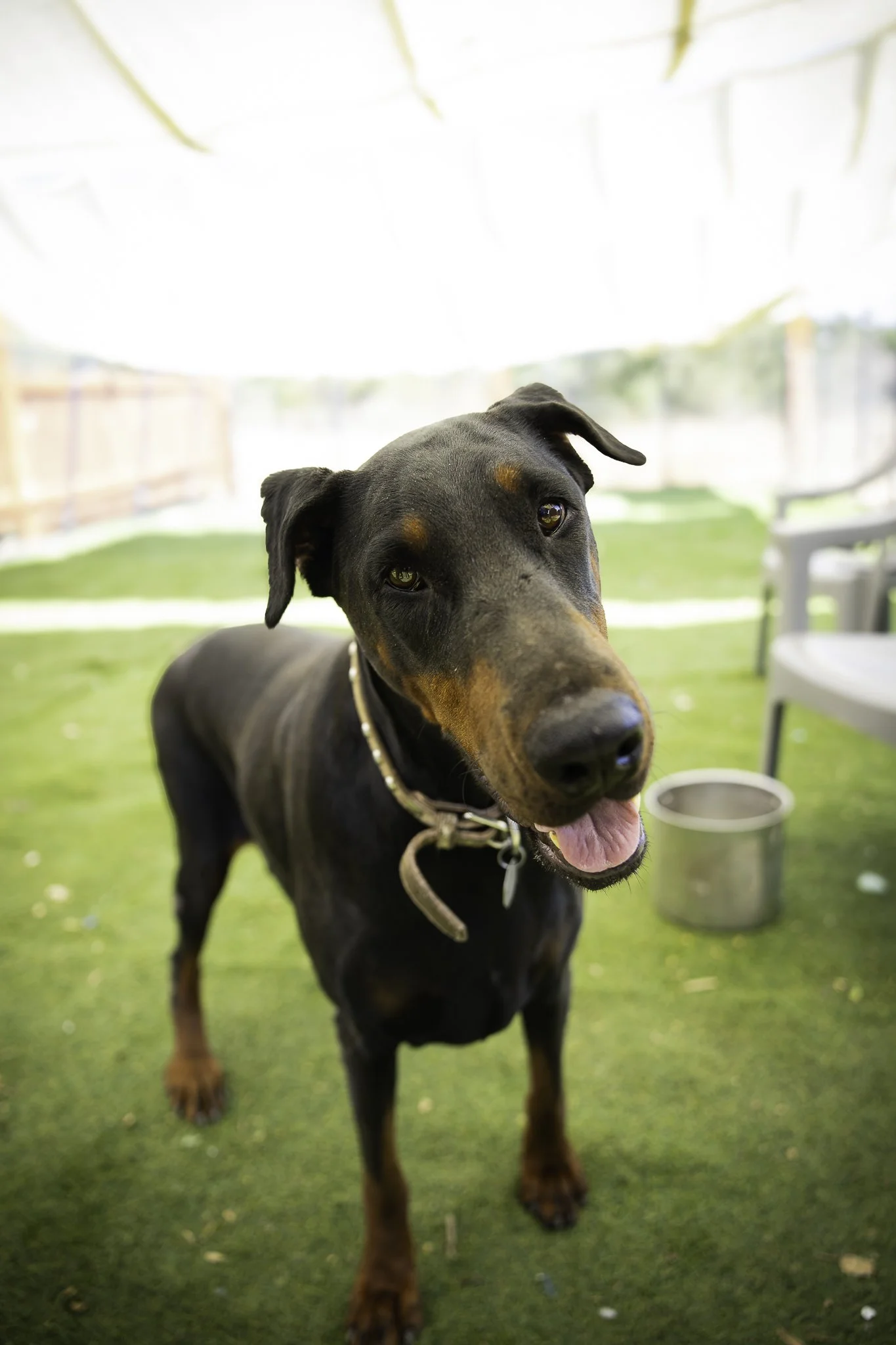 091626-24.jpg