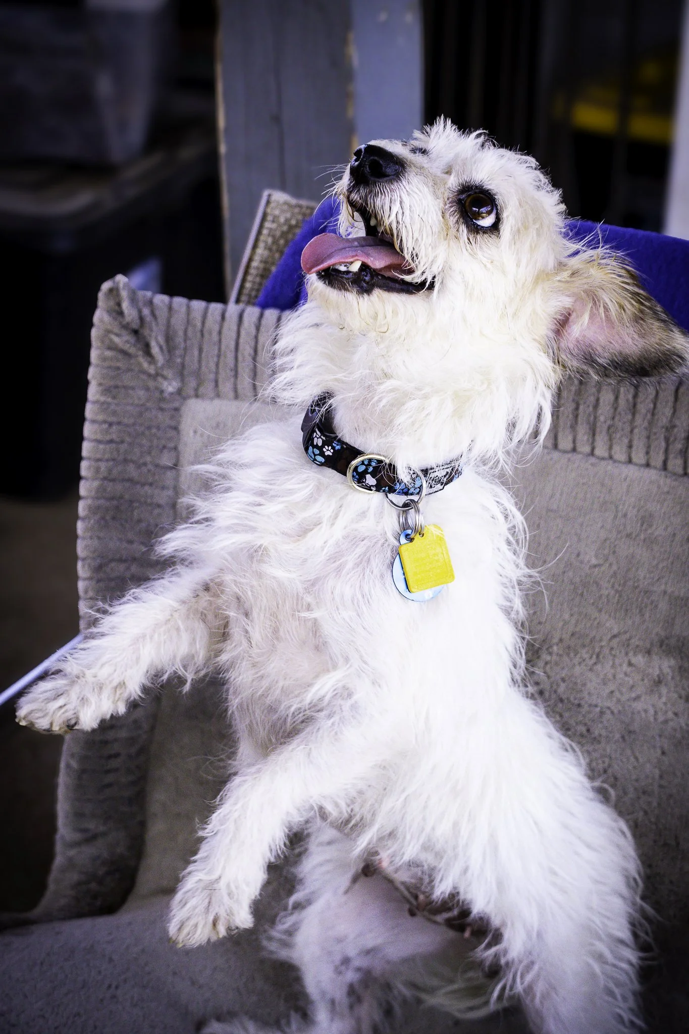 chloe-3.jpg
