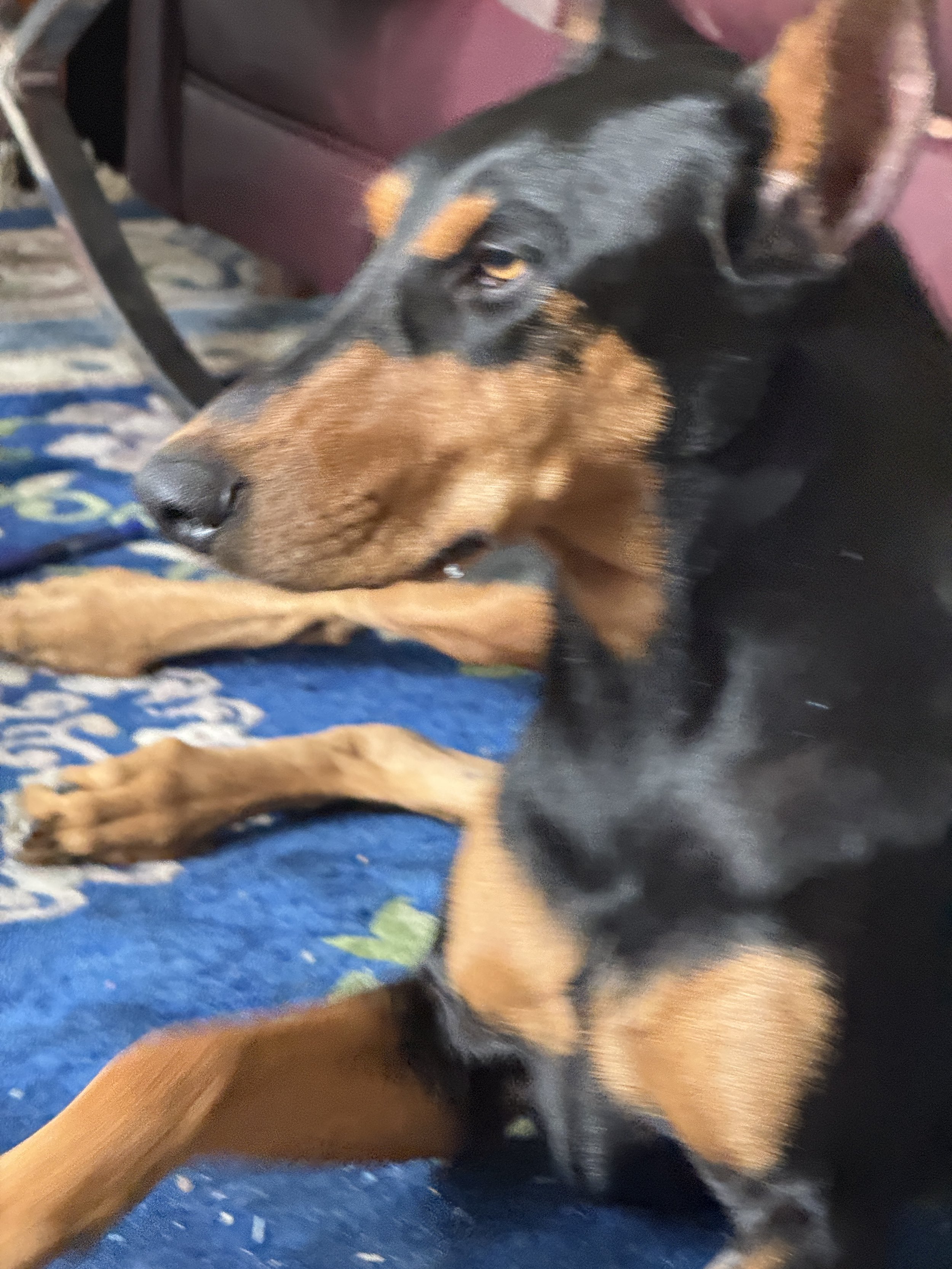 roxybt002.jpeg
