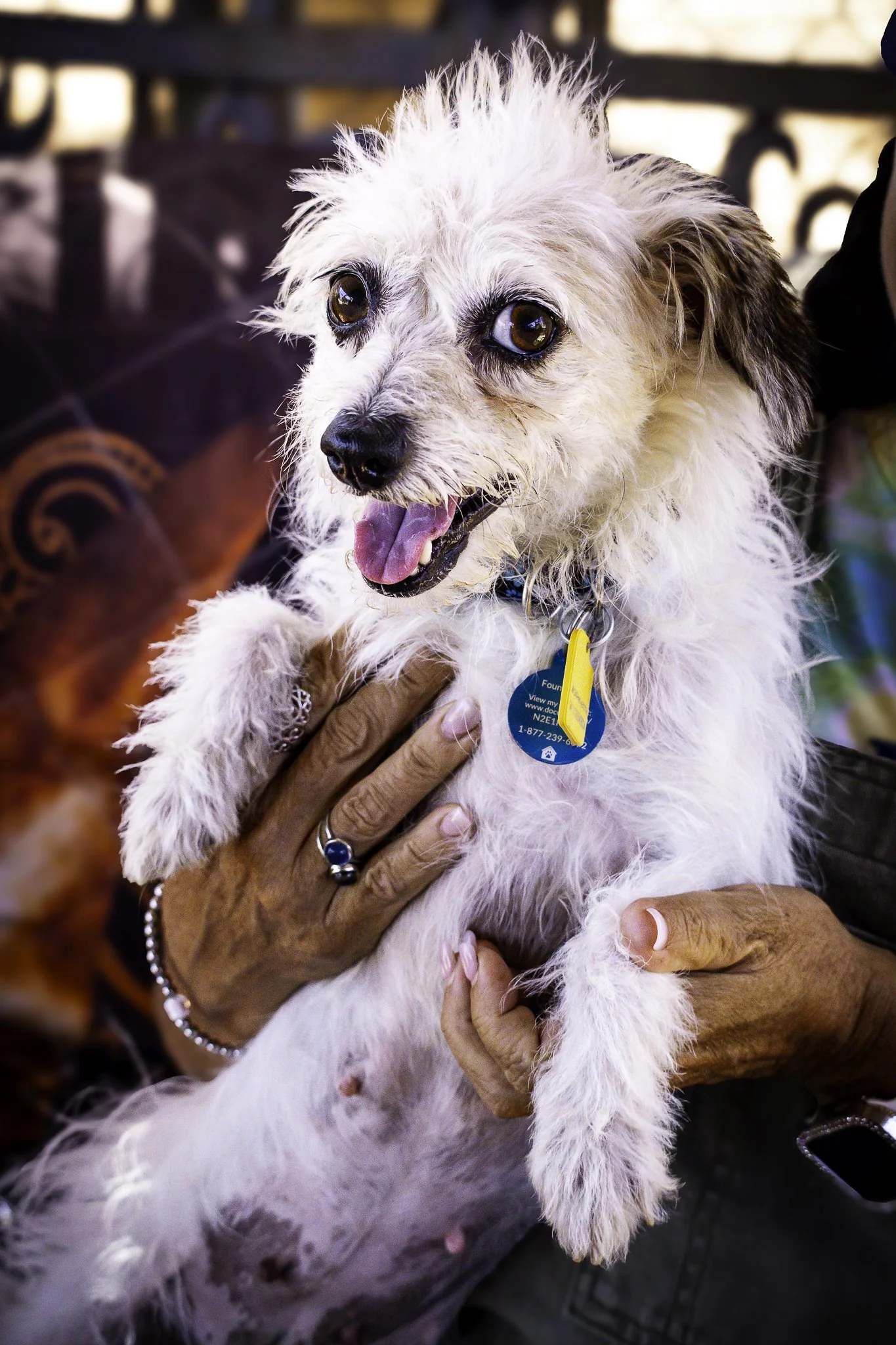 chloe-15.jpg