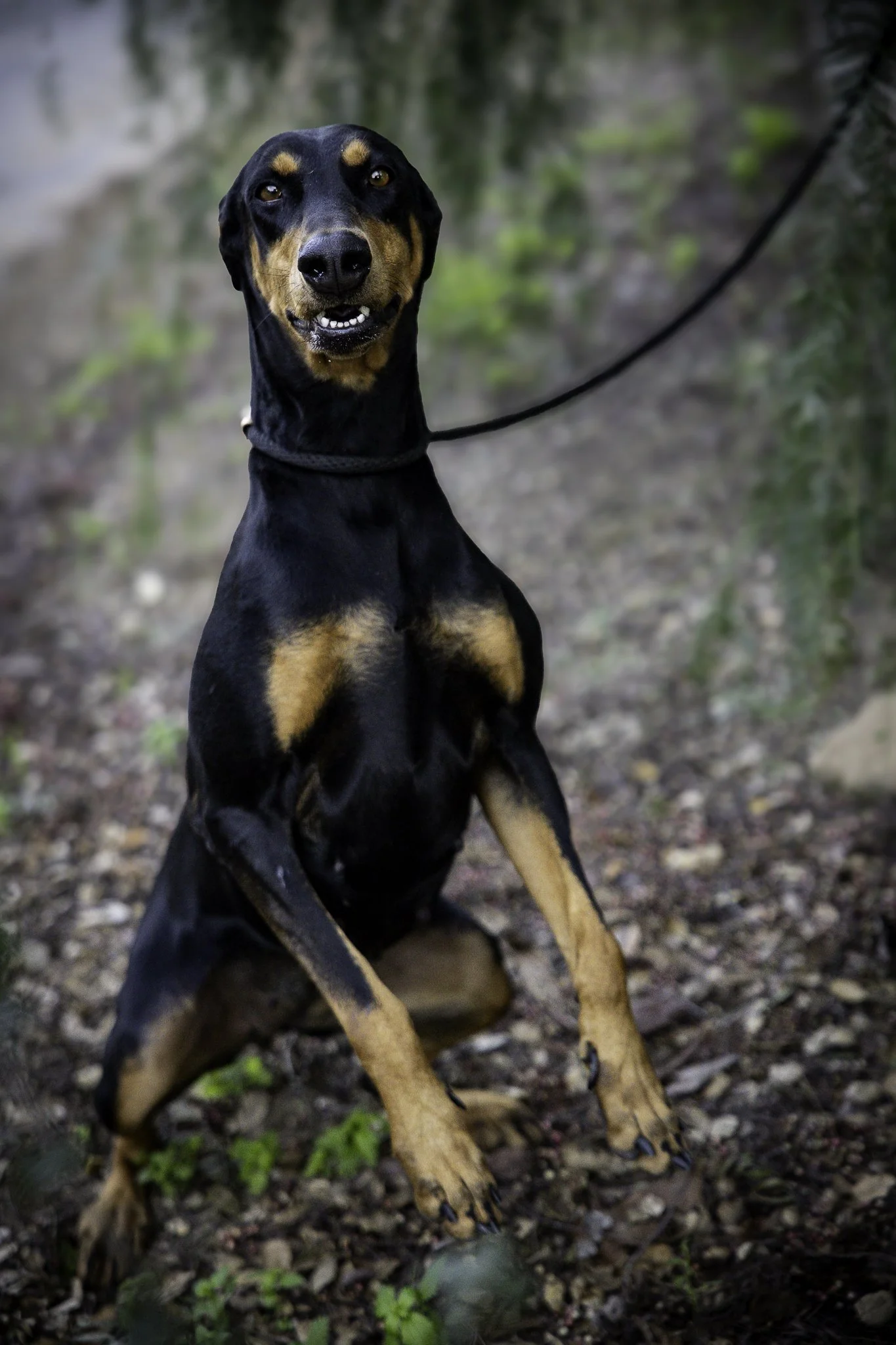 jill-11.jpg