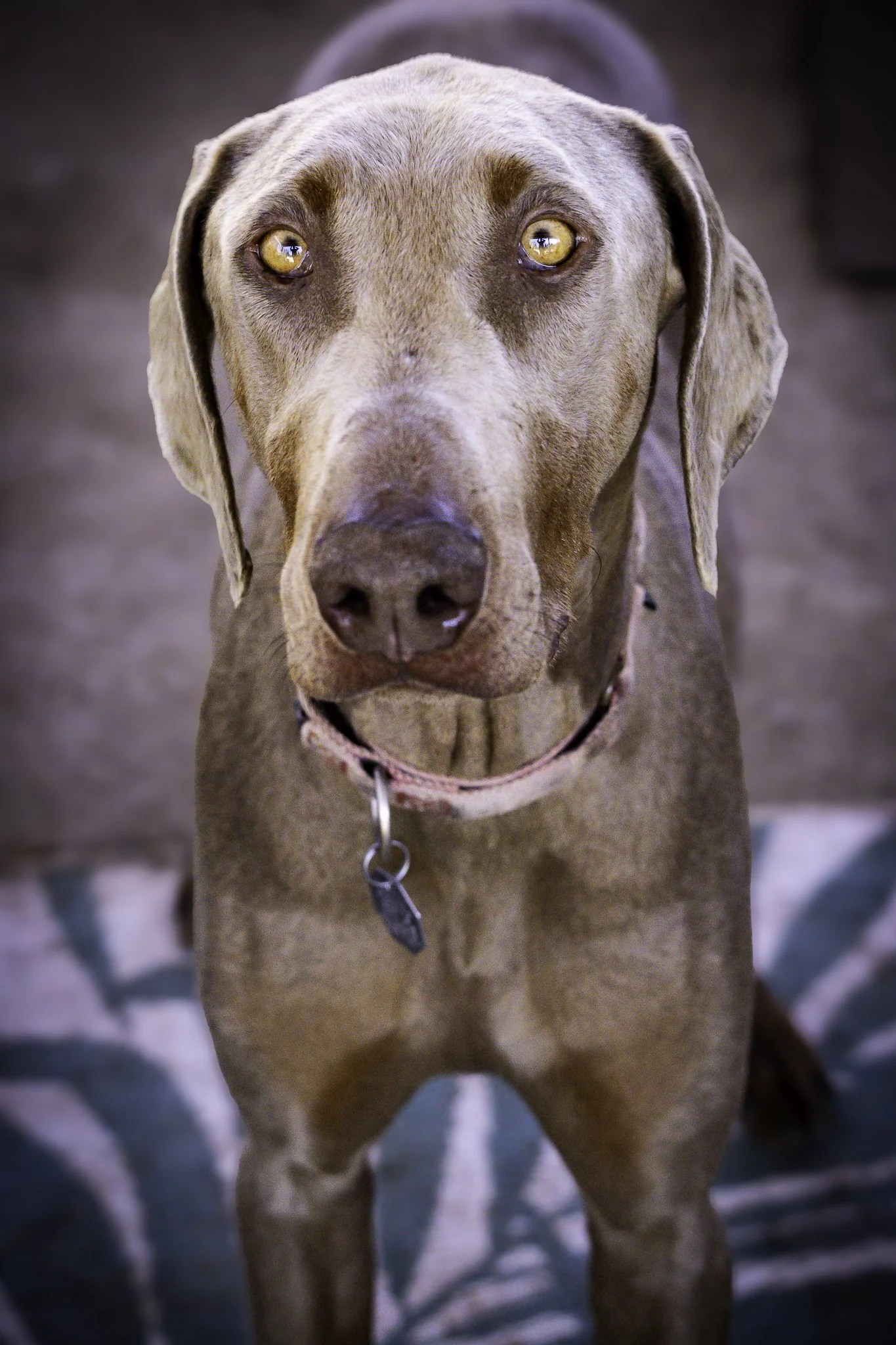 chloe-18.jpg