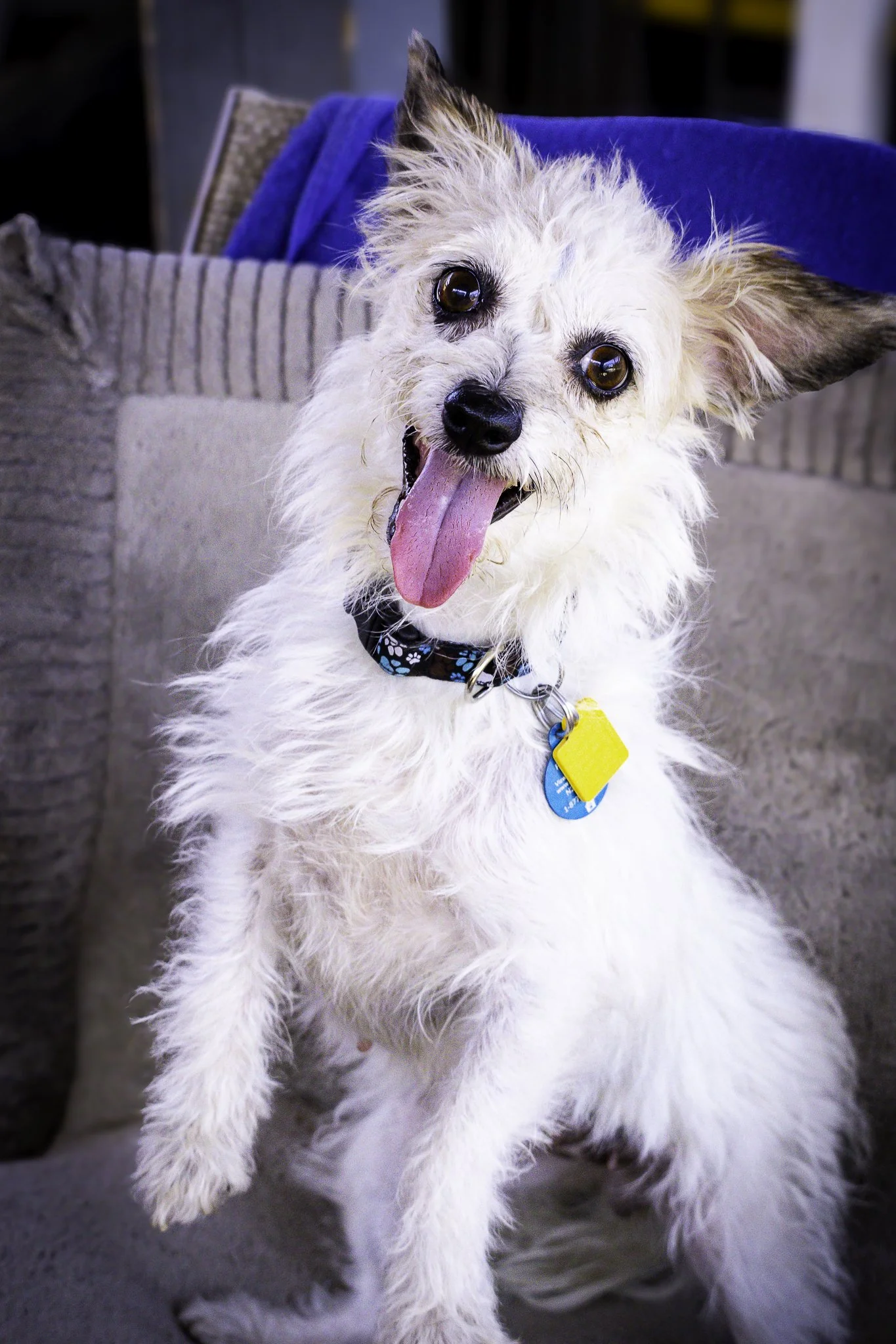 chloe-2.jpg