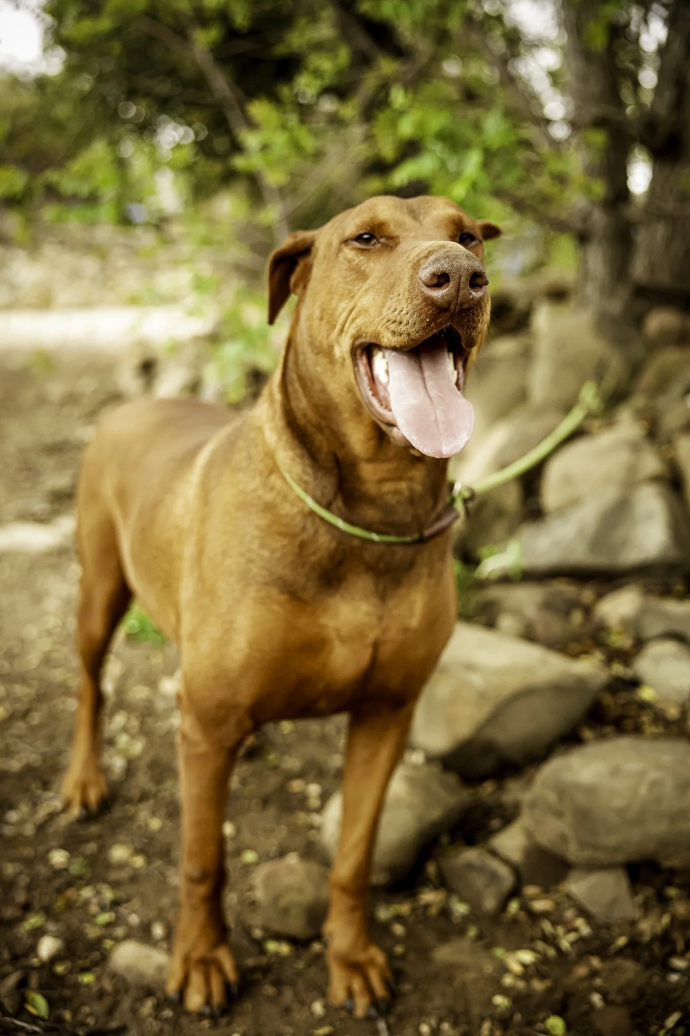 maxx-10.jpg