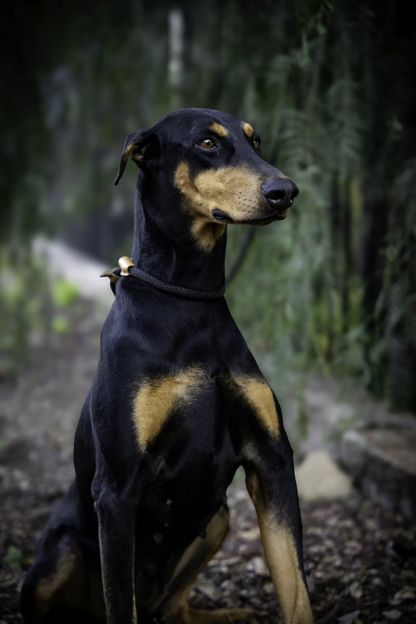 jill-7.jpg
