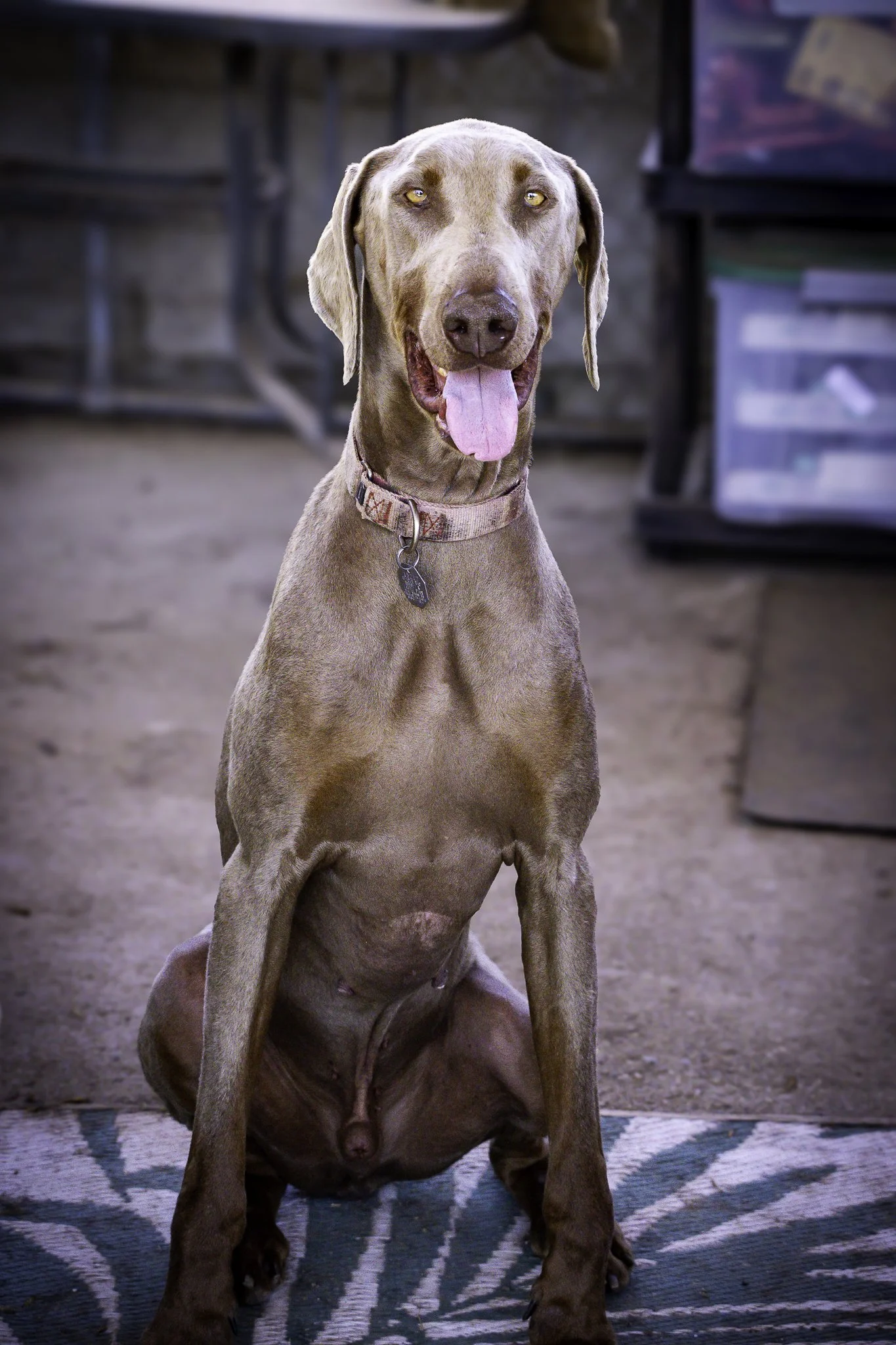chloe-19.jpg
