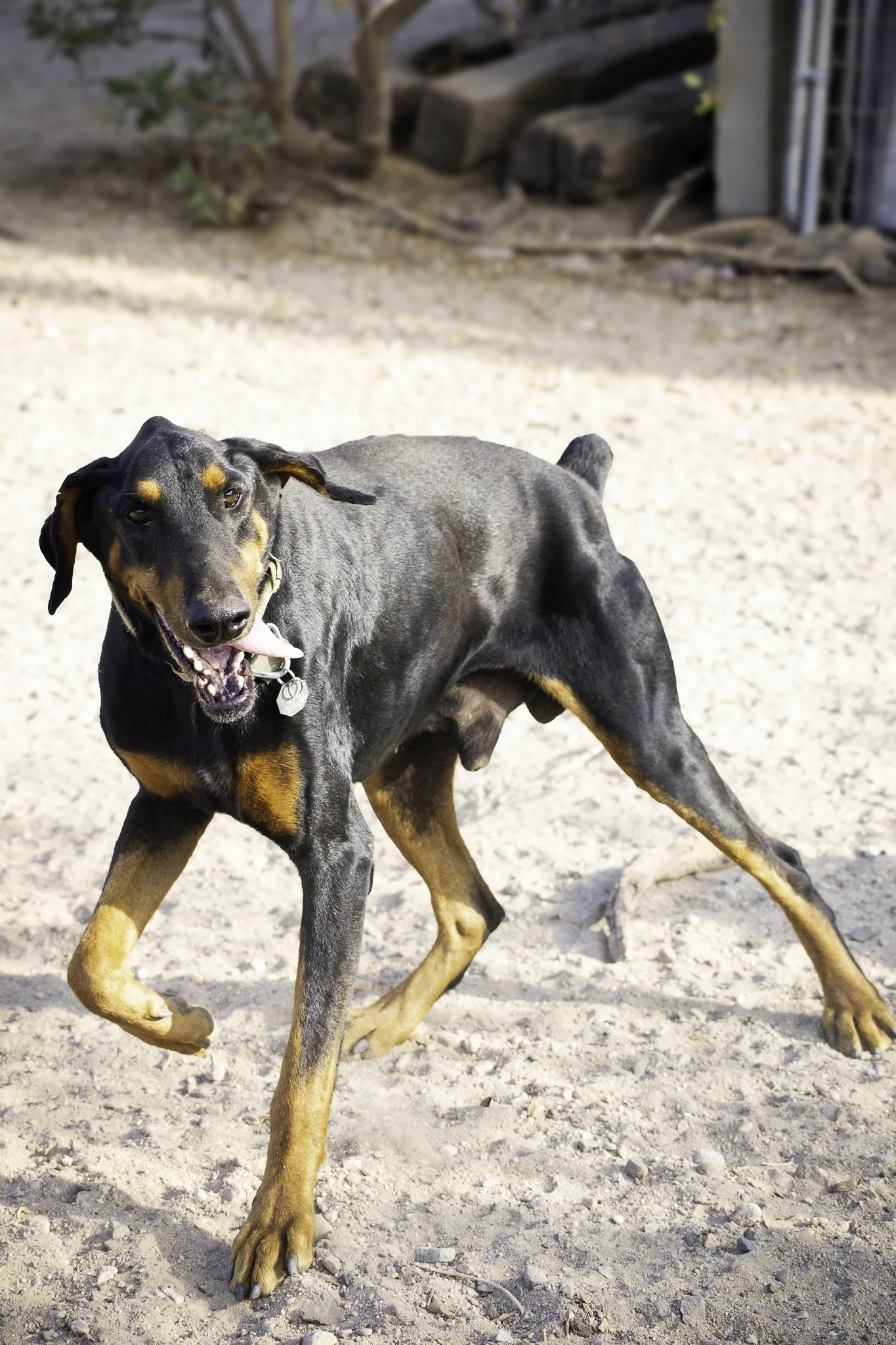 wyatt-11.jpg