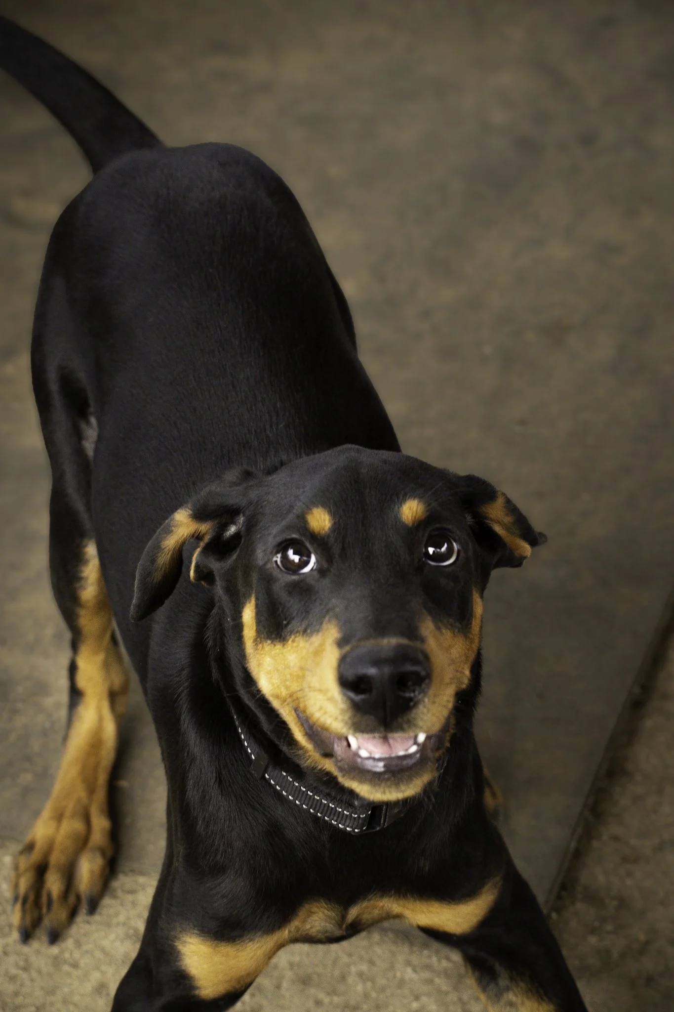 070426-54.jpg