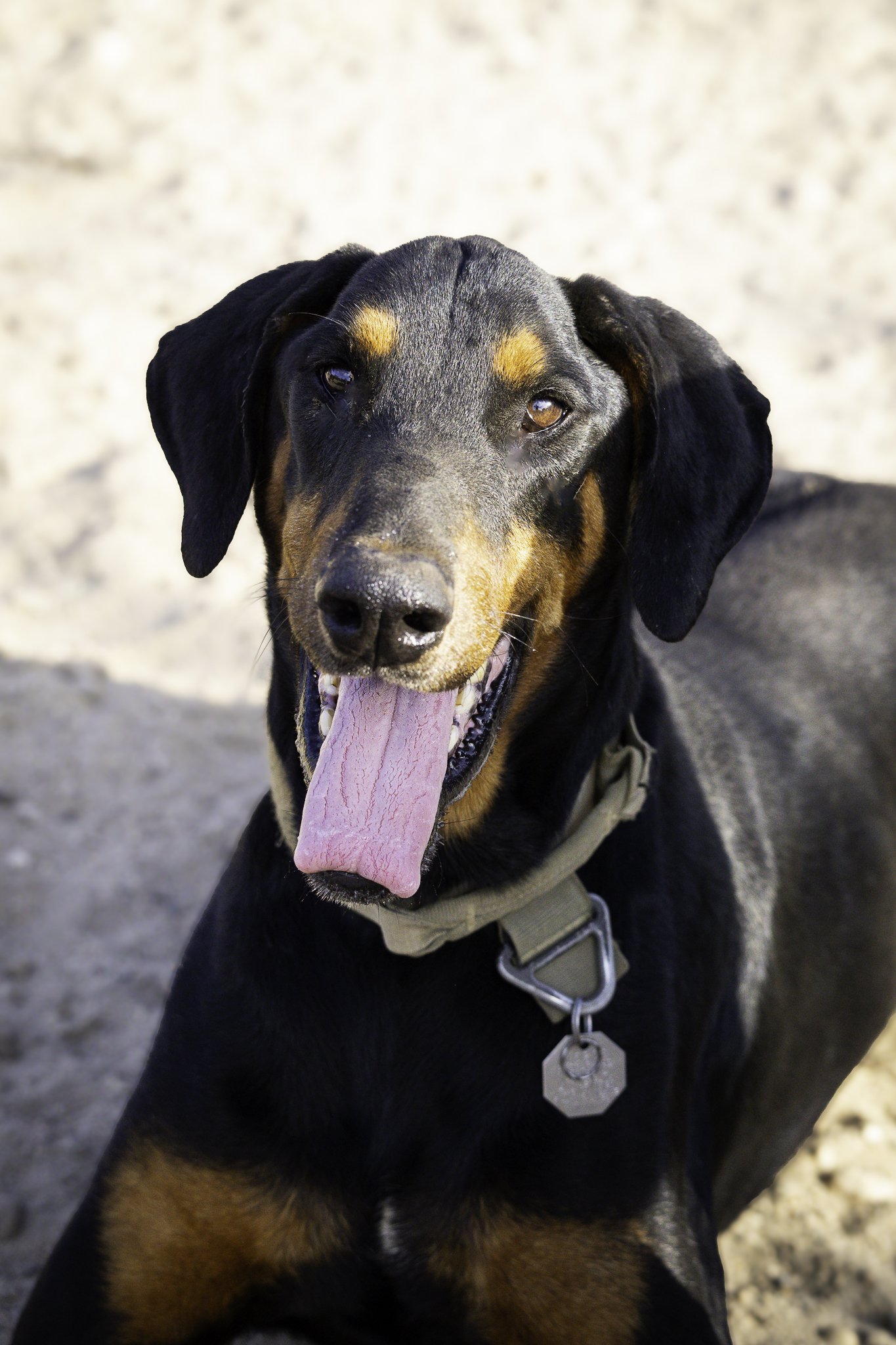 wyatt-8.jpg