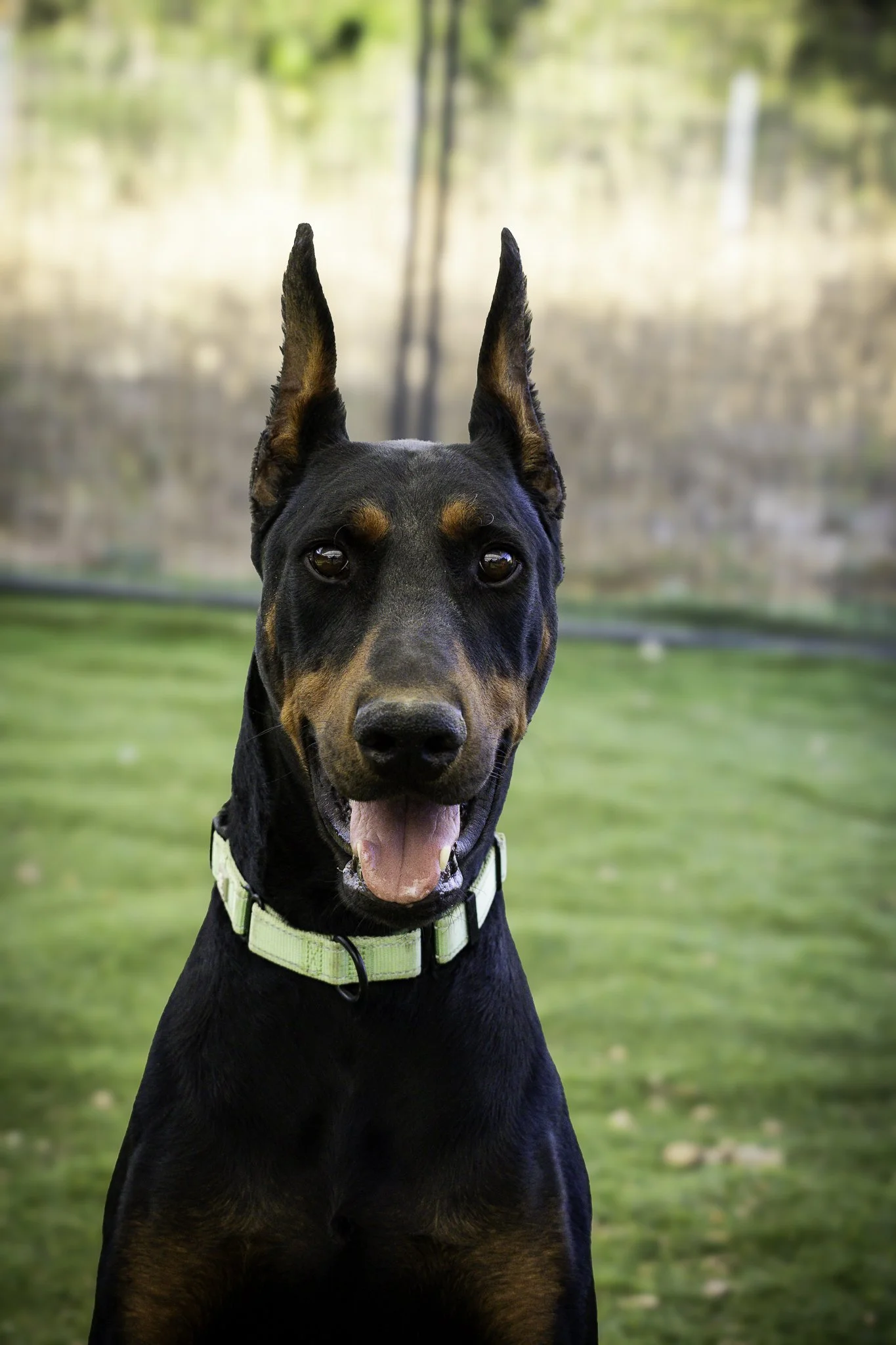 jax-9.jpg