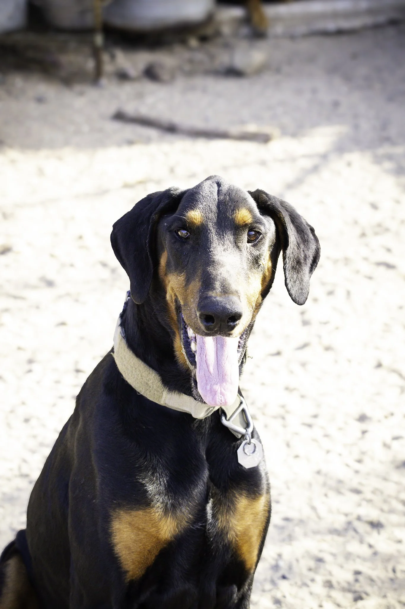 wyatt-7.jpg