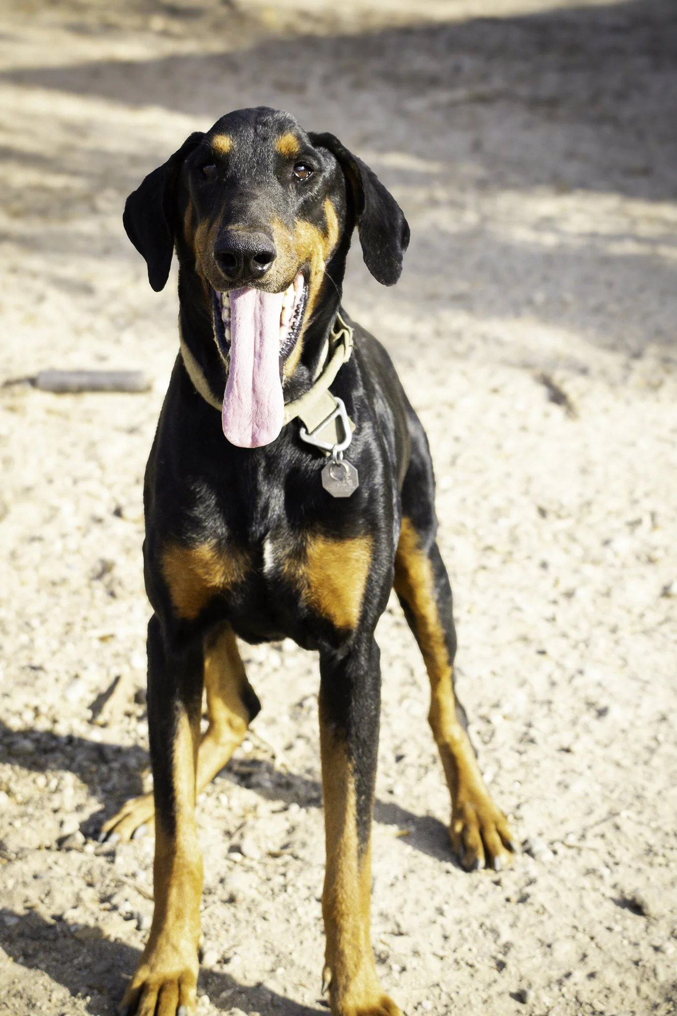 wyatt-5.jpg