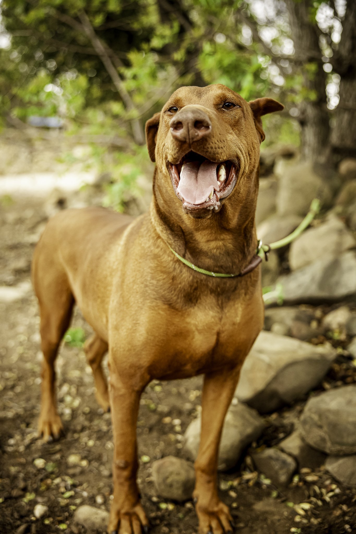 maxx-8.jpg