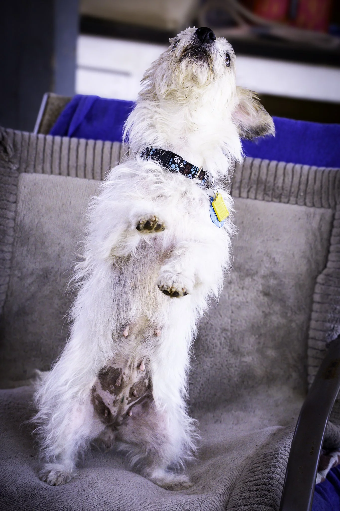 chloe-7.jpg