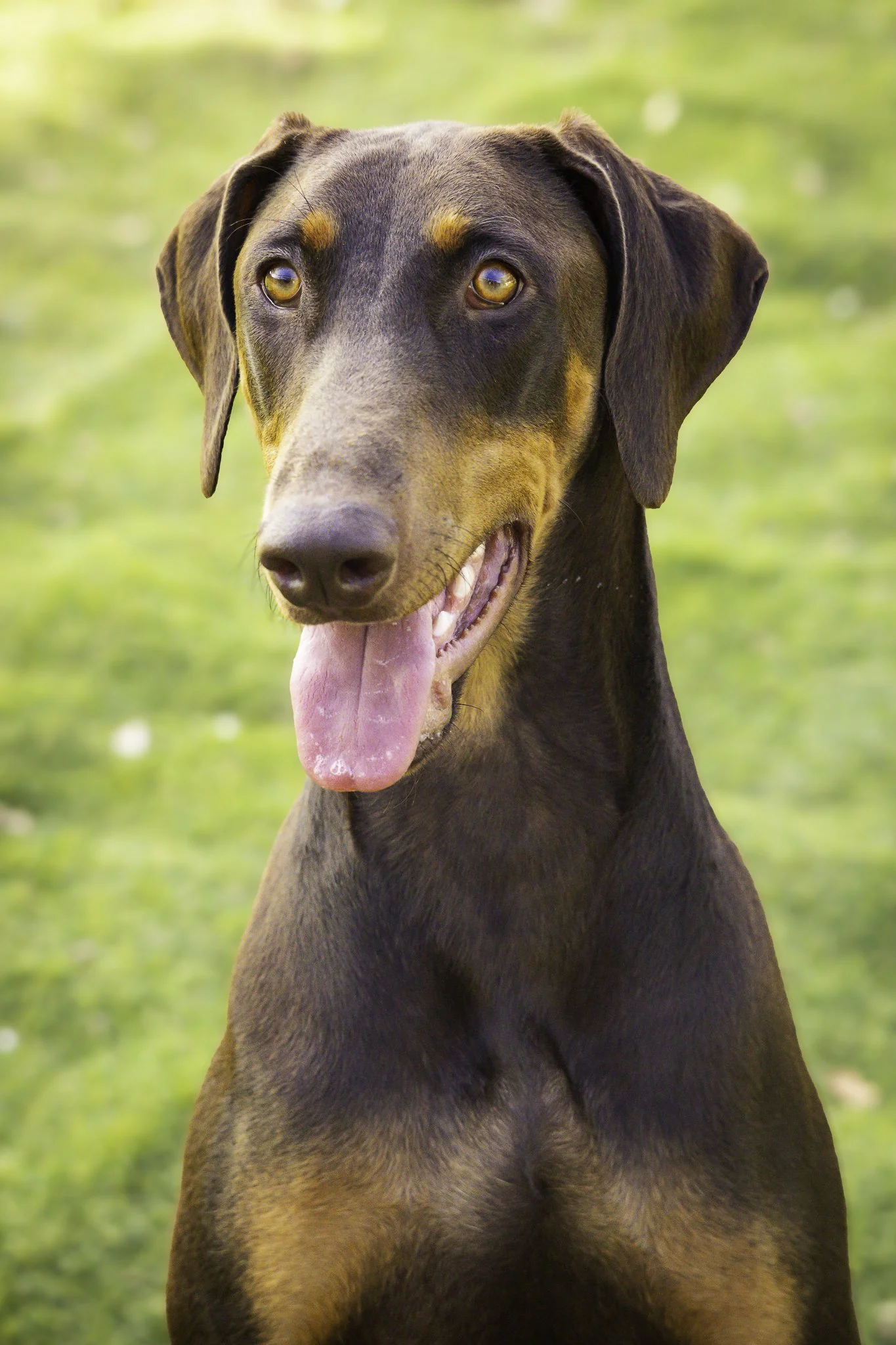 nala7.jpg