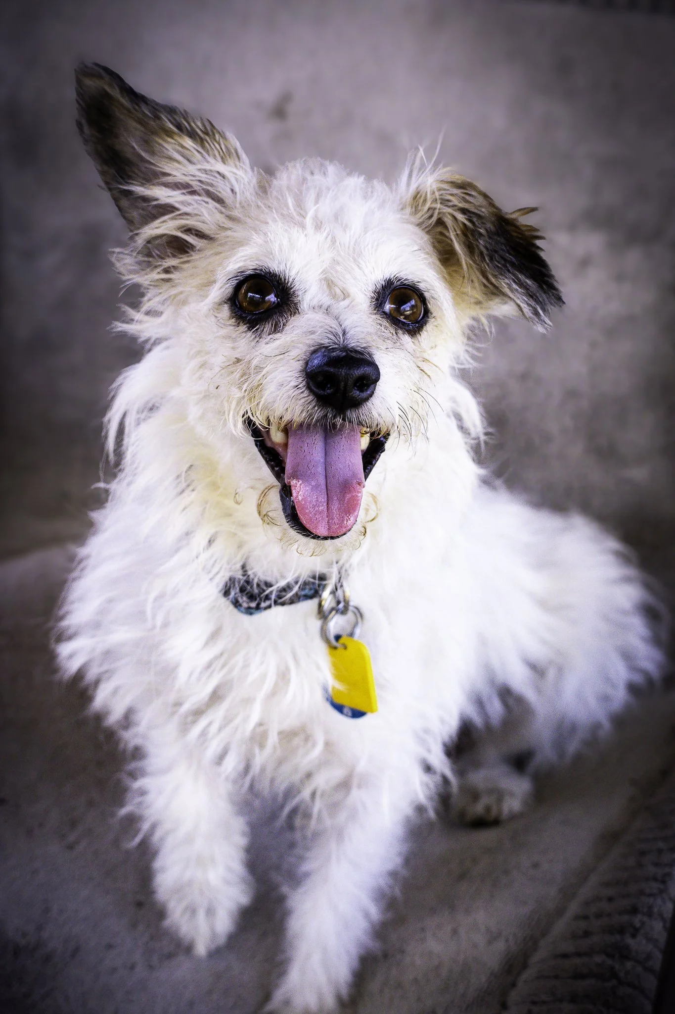 chloe-8.jpg