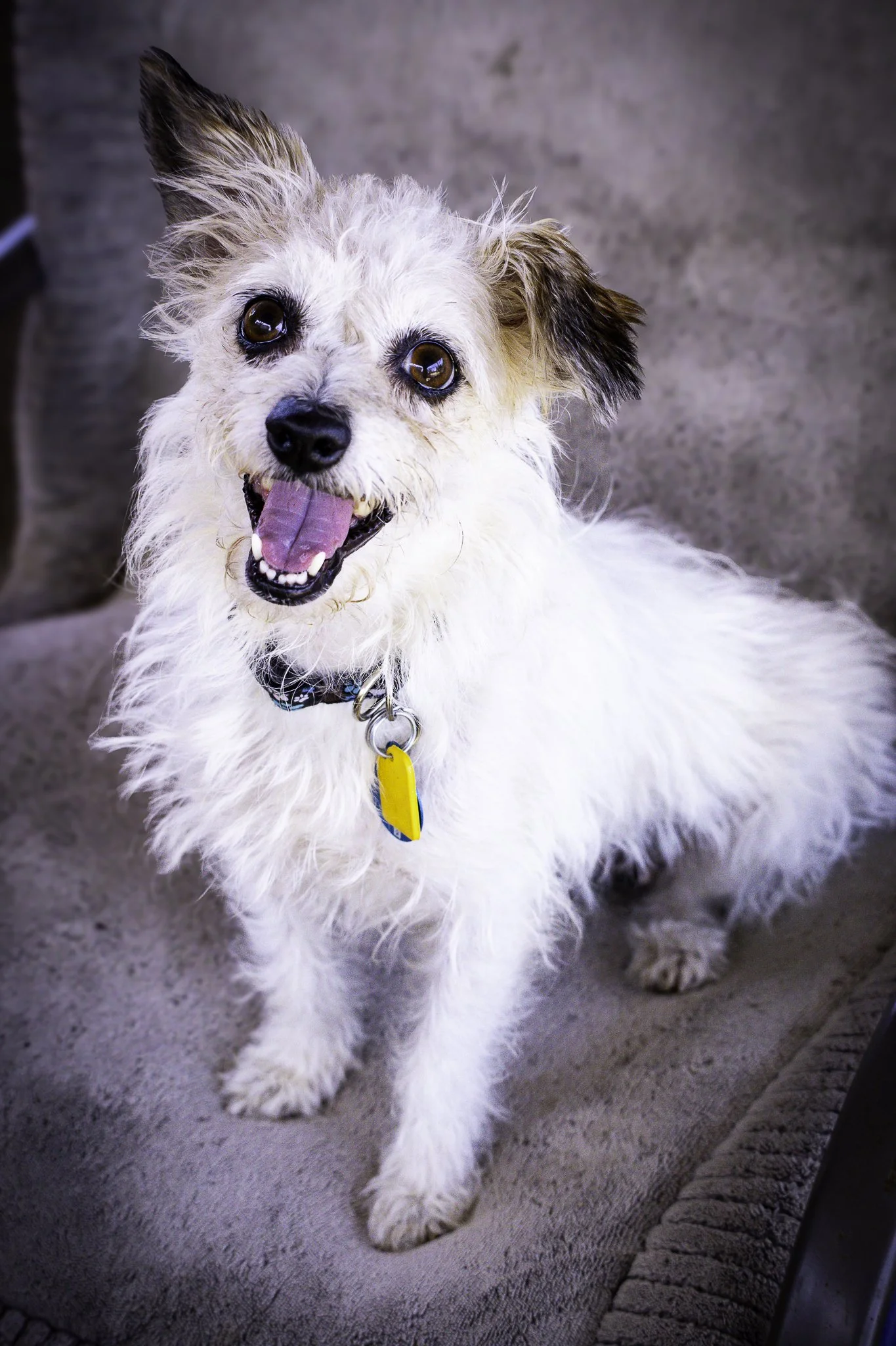 chloe-12.jpg