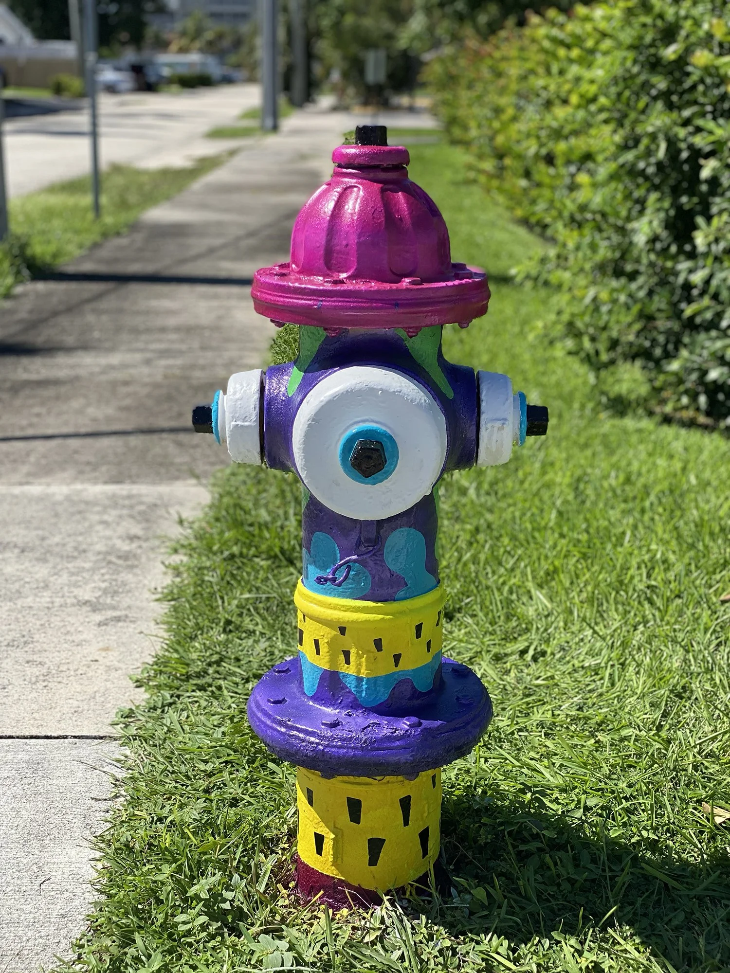 Fire Hydrant #2 - Hallandale Beach Blvd