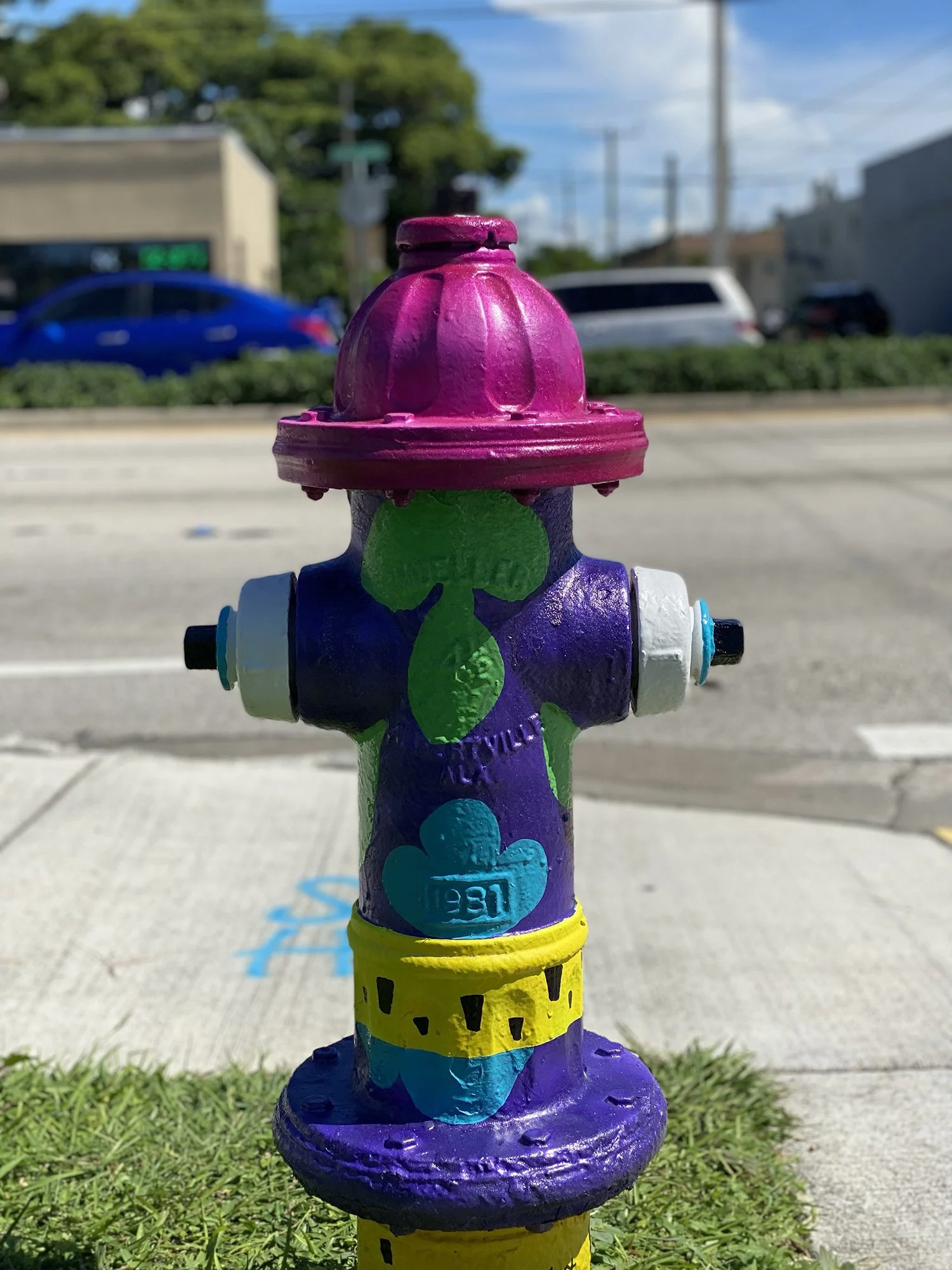 Fire Hydrant #2 - Hallandale Beach Blvd